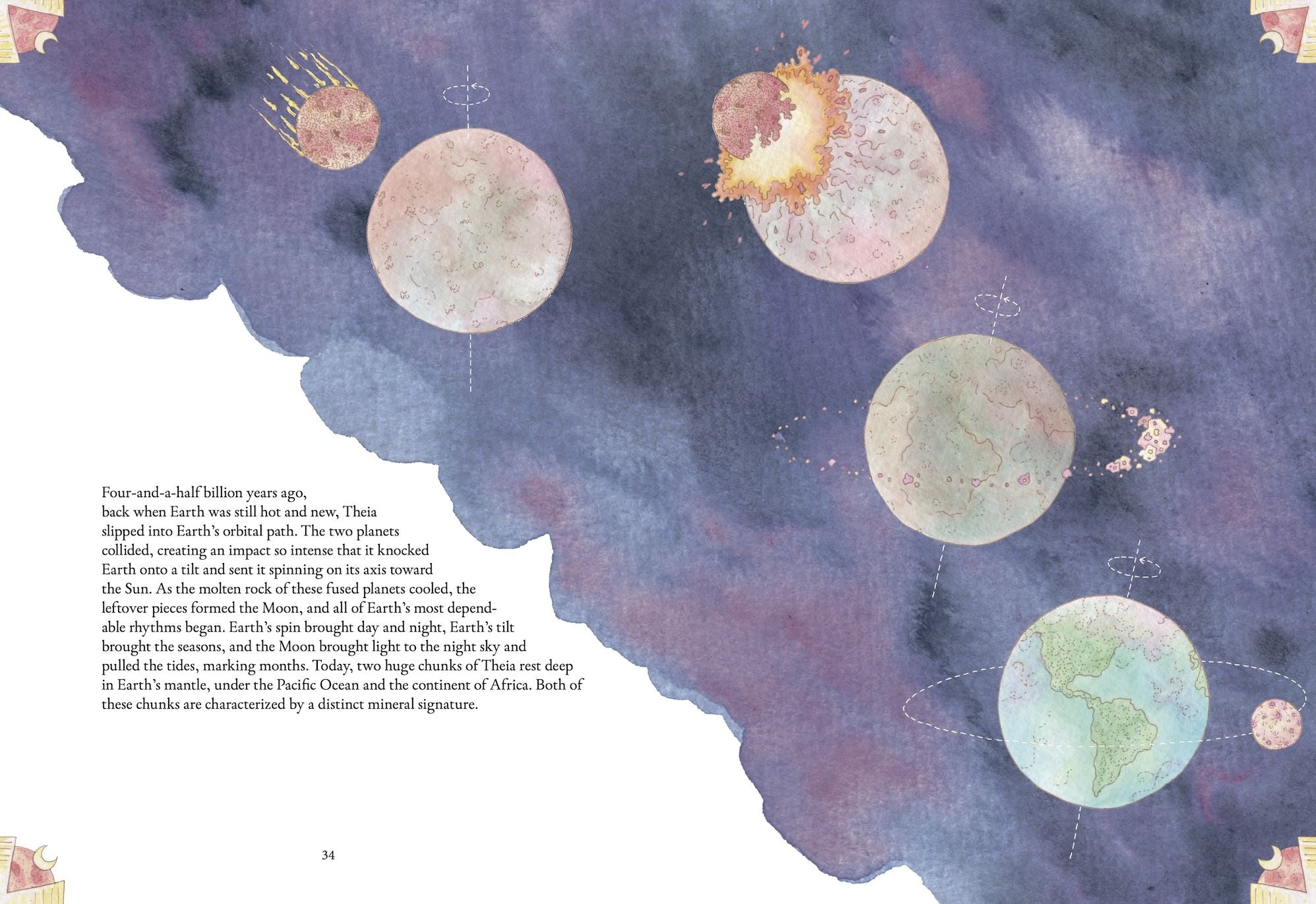The Forgotten Teachers: How Nature Wrote the Story of Life