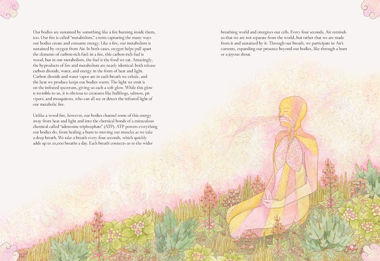 The Forgotten Teachers: How Nature Wrote the Story of Life
