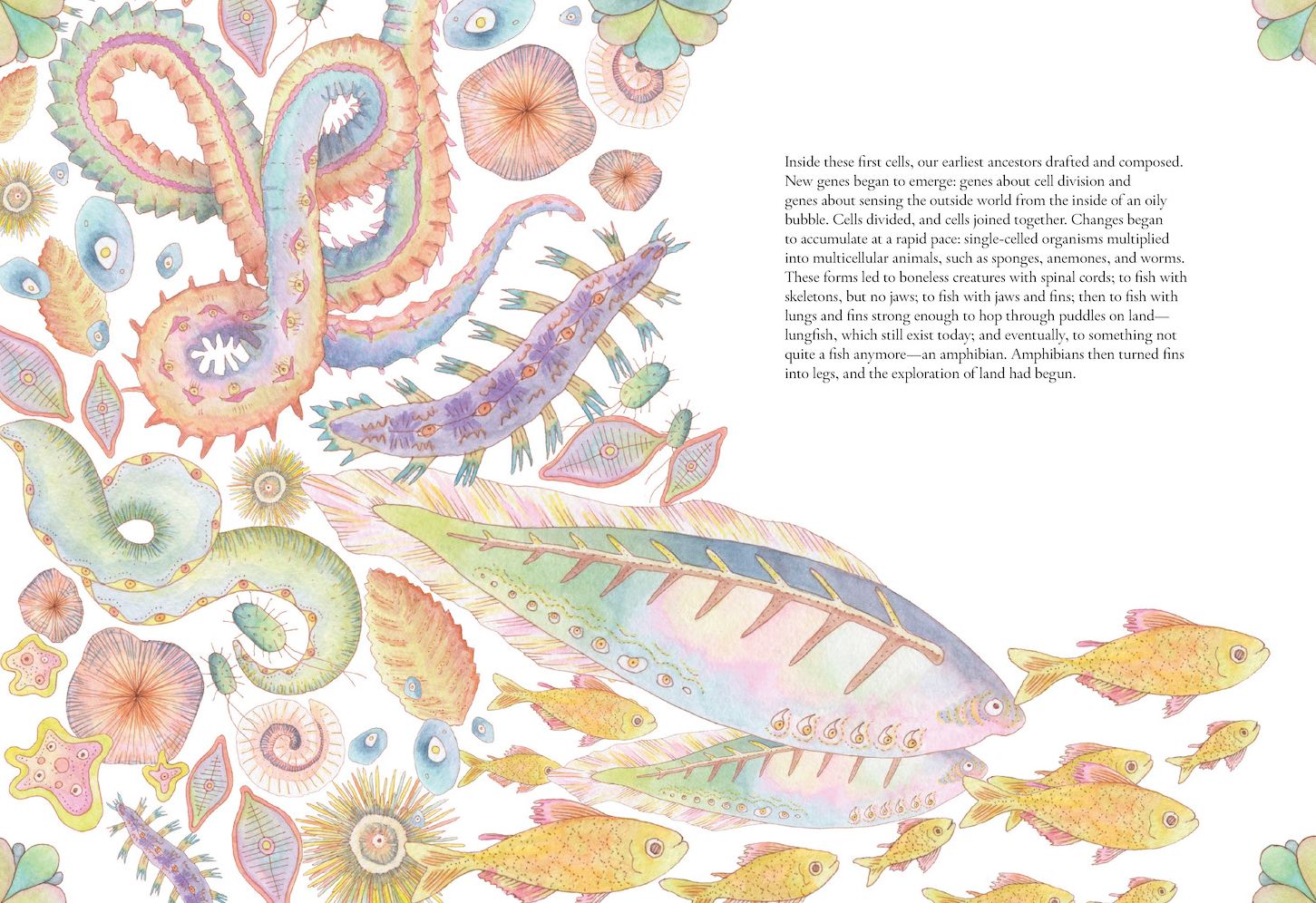 The Forgotten Teachers: How Nature Wrote the Story of Life