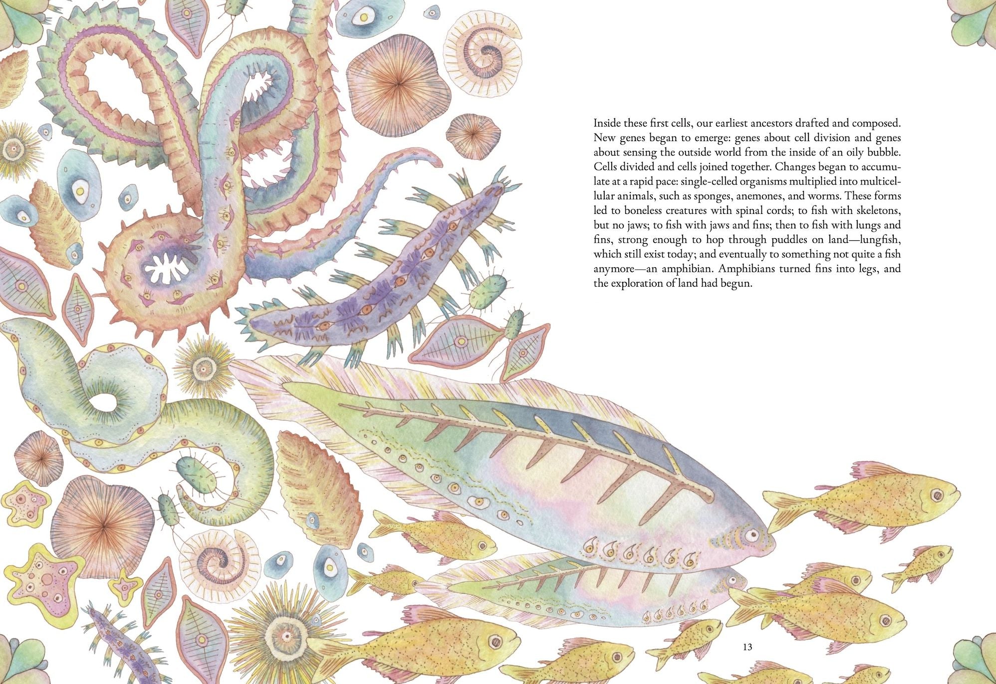 The Forgotten Teachers: How Nature Wrote the Story of Life