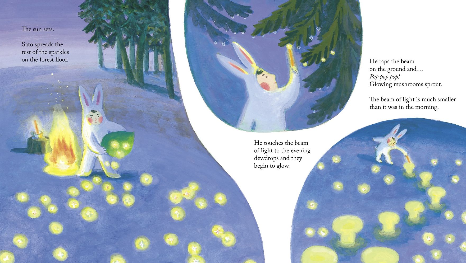 Sato the Rabbit, Morning Light