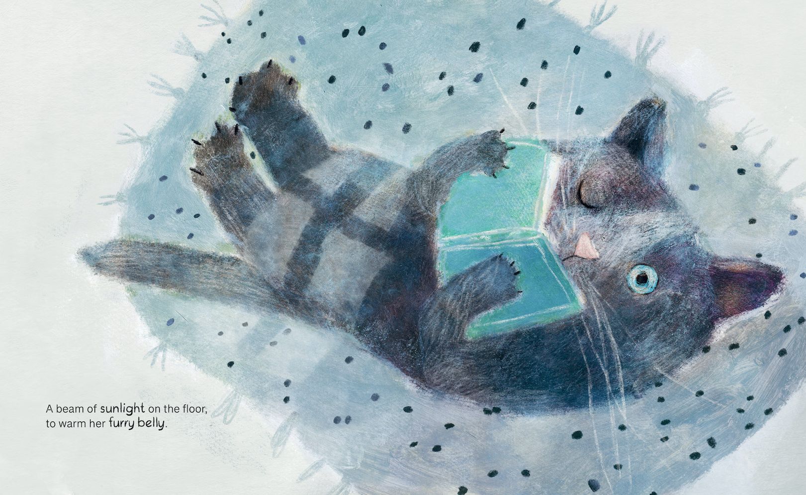 What a Small Cat Needs