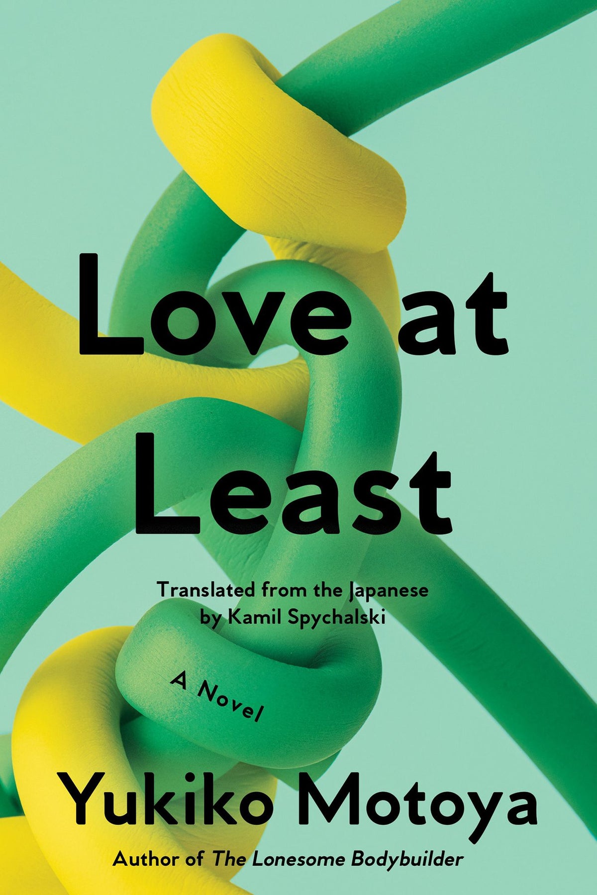 Love at Least: A Novel