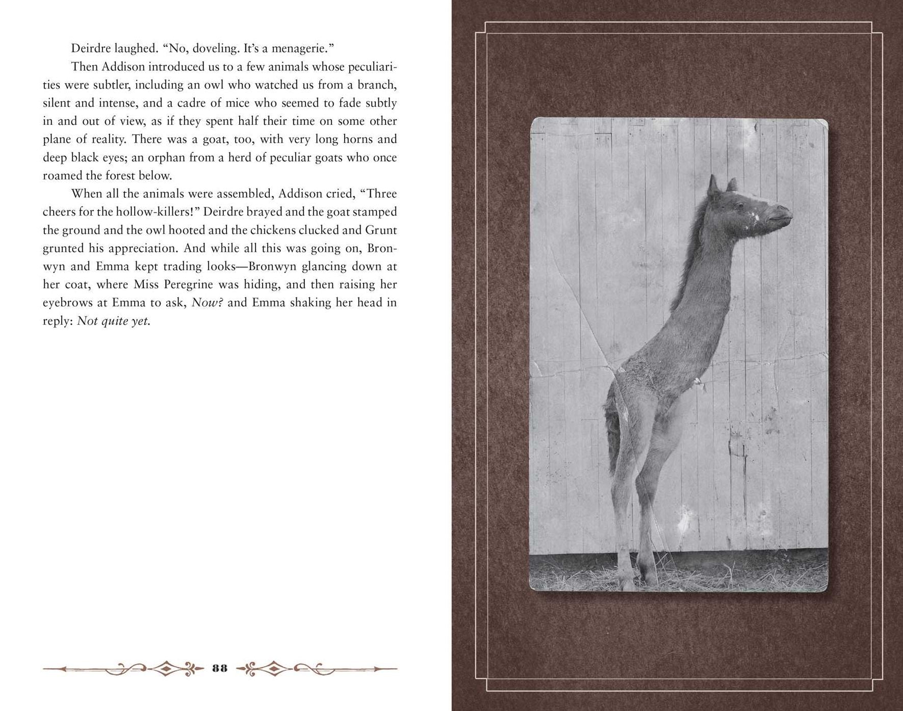 Hollow City (Miss Peregrine's Peculiar Children Series #2)