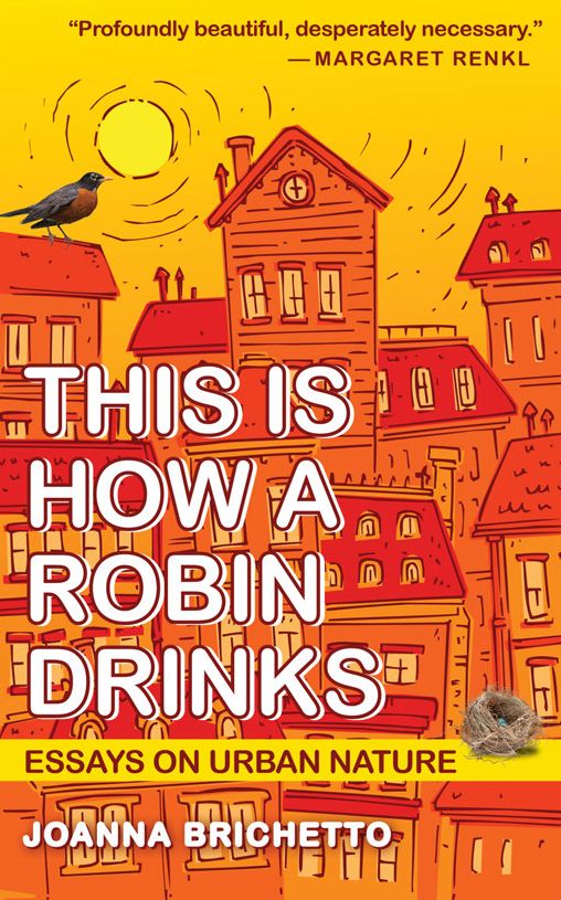 This Is How a Robin Drinks: Essays on Urban Nature