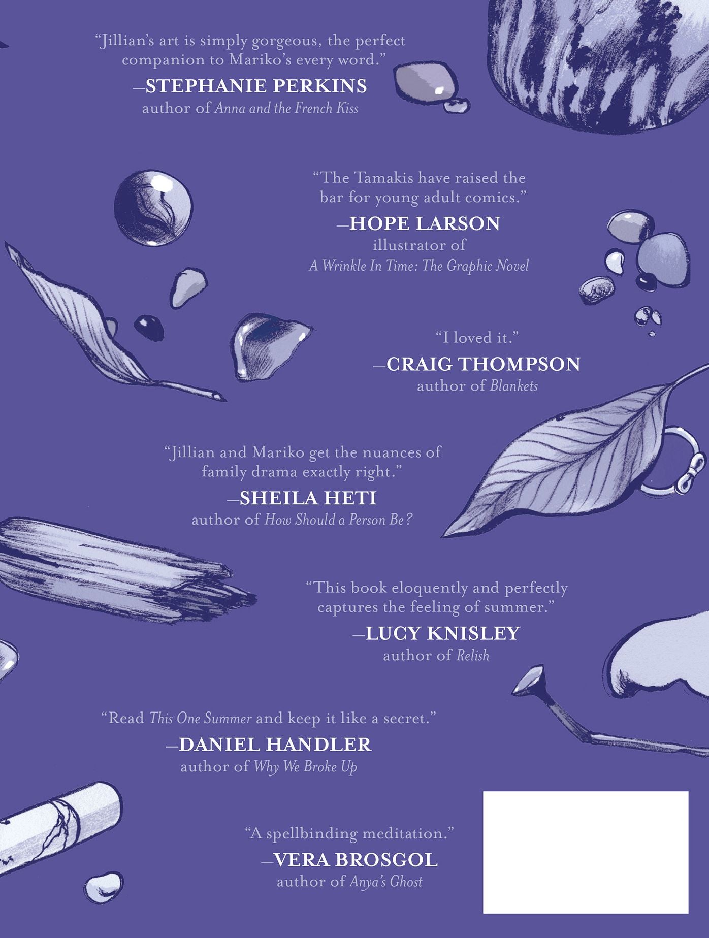 This One Summer (Caldecott Honor Book)