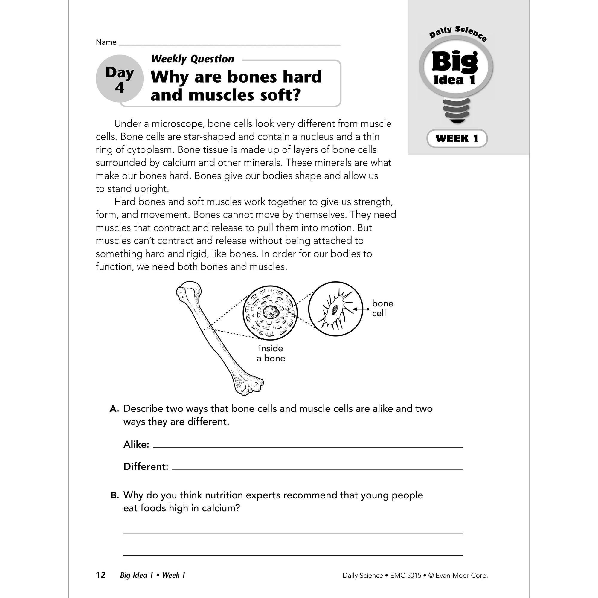 Daily Science, Grade 5