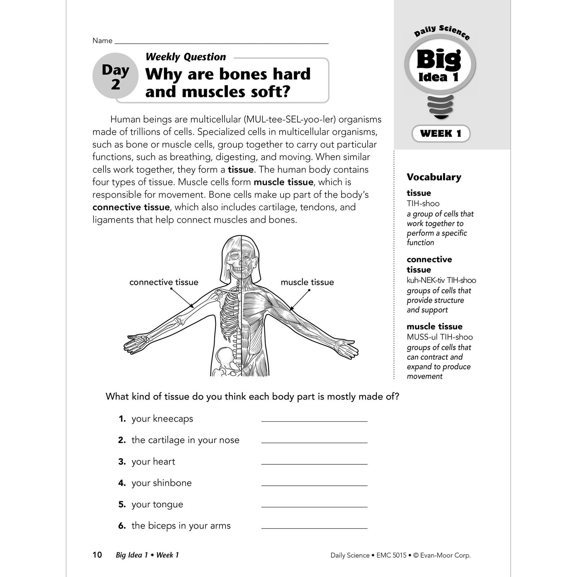 Daily Science, Grade 5