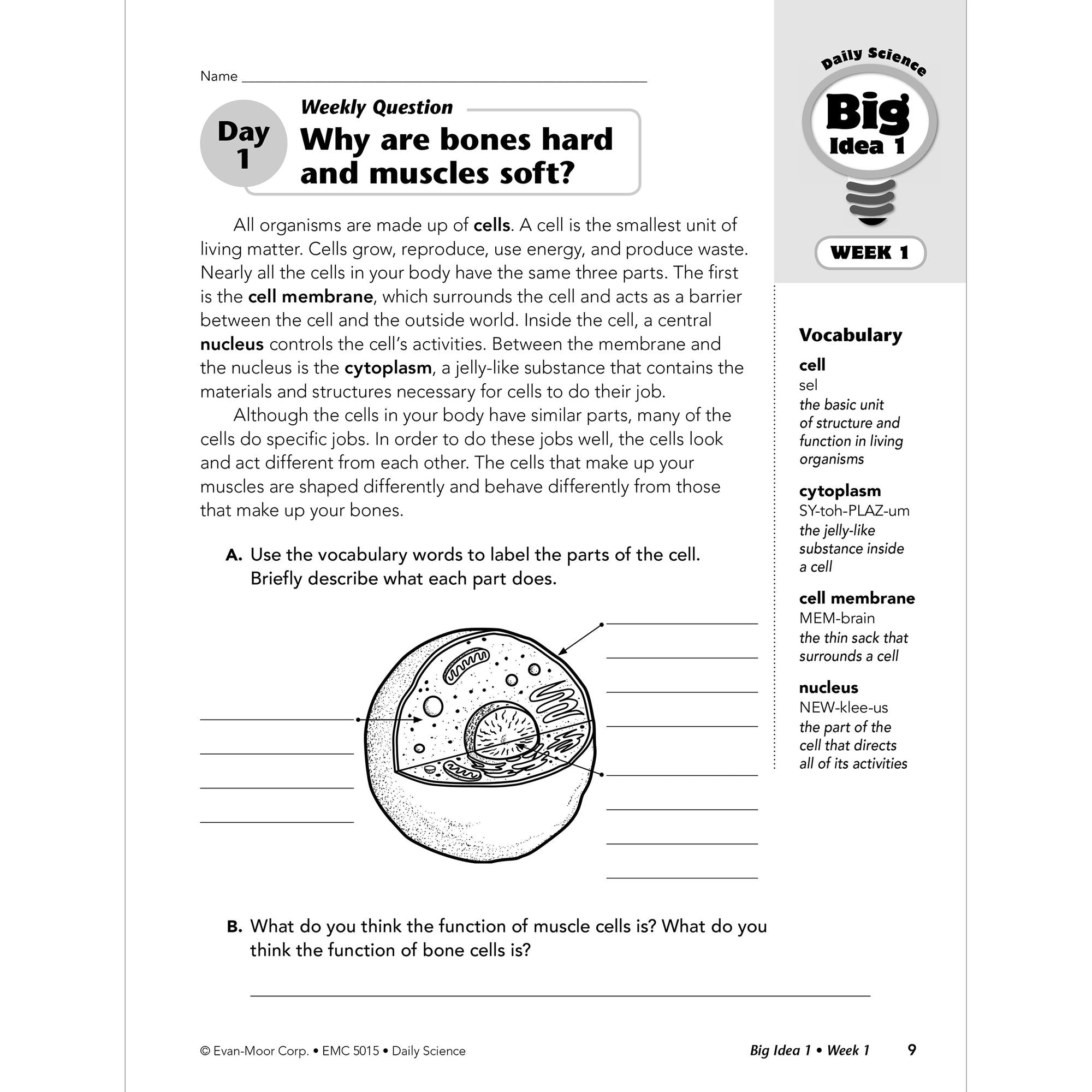 Daily Science, Grade 5