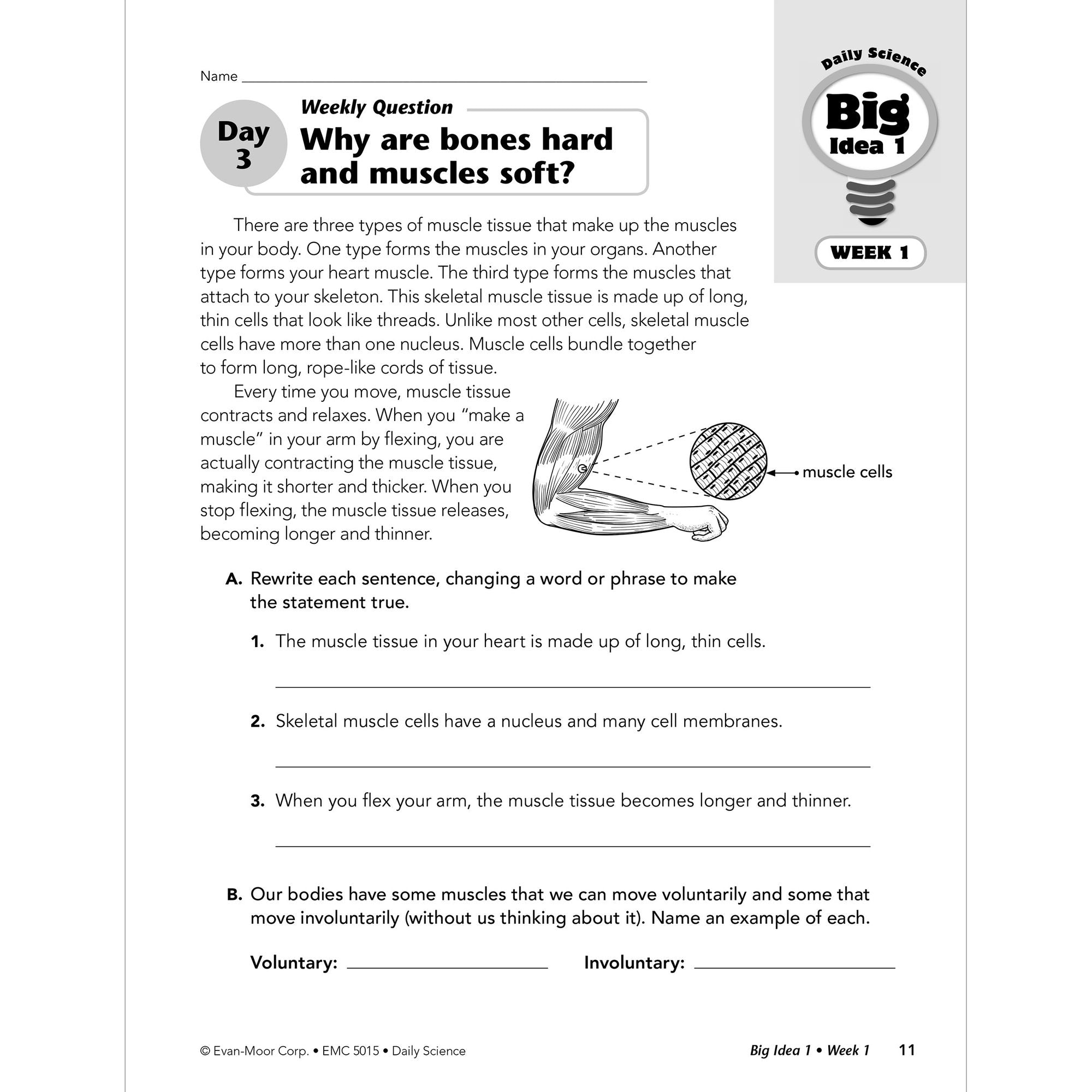 Daily Science, Grade 5