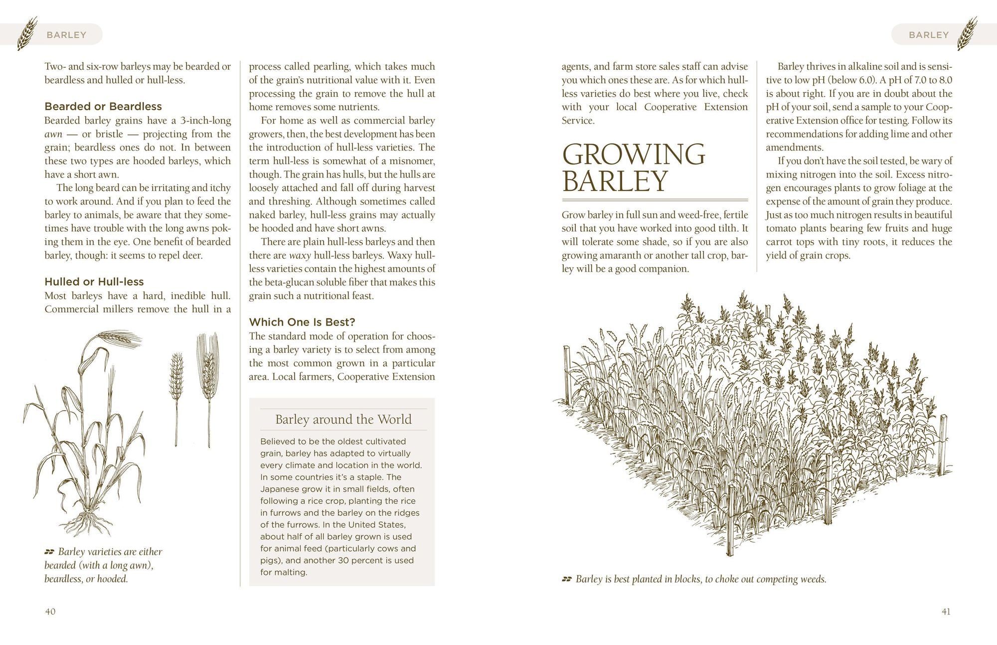 Homegrown Whole Grains: Grow, Harvest, and Cook Wheat, Barley, Oats, Rice, Corn and More