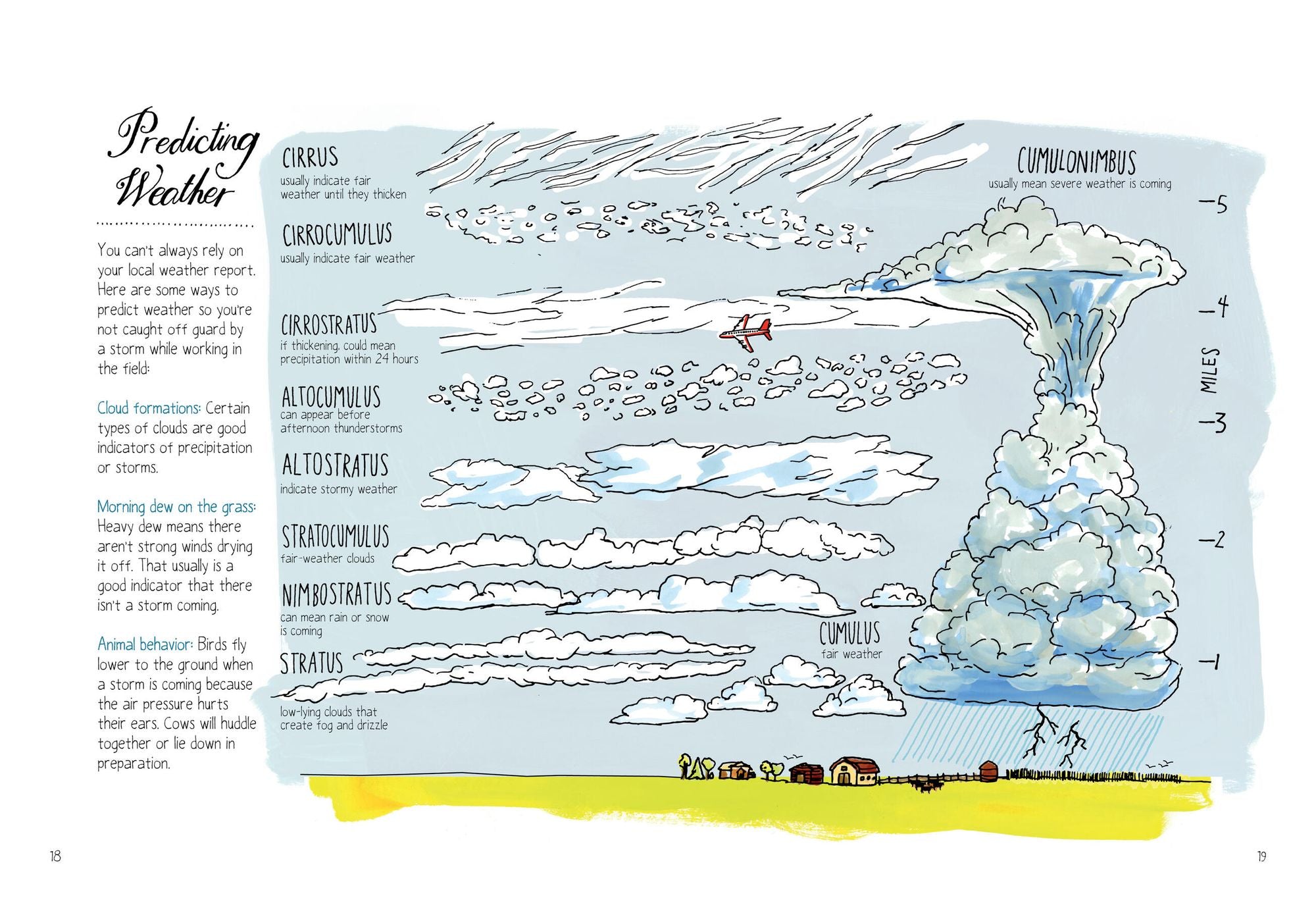 Farm Anatomy: The Curious Parts and Pieces of Country Life