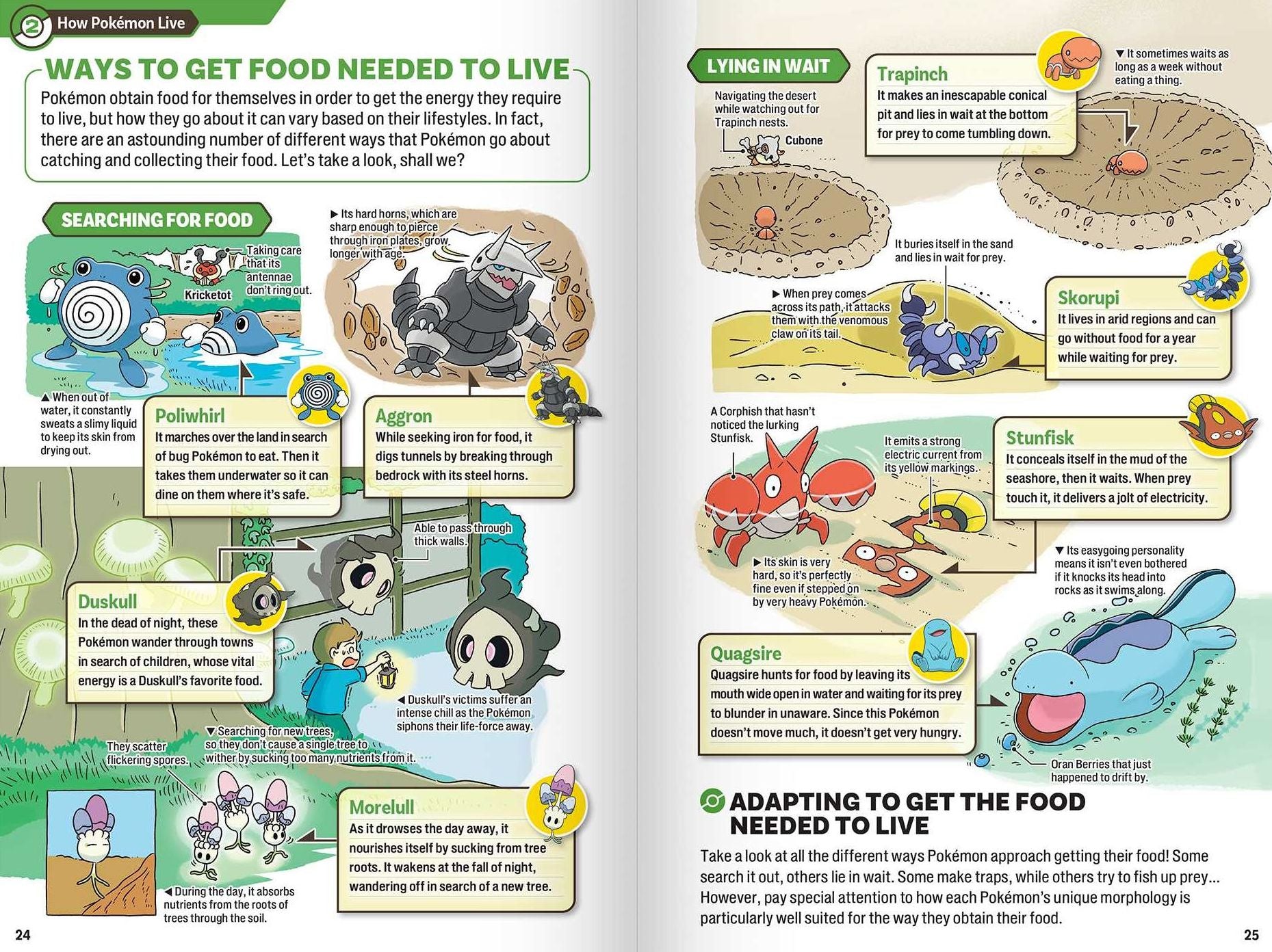Pokécology An Illustrated Guide to Pokémon Ecology