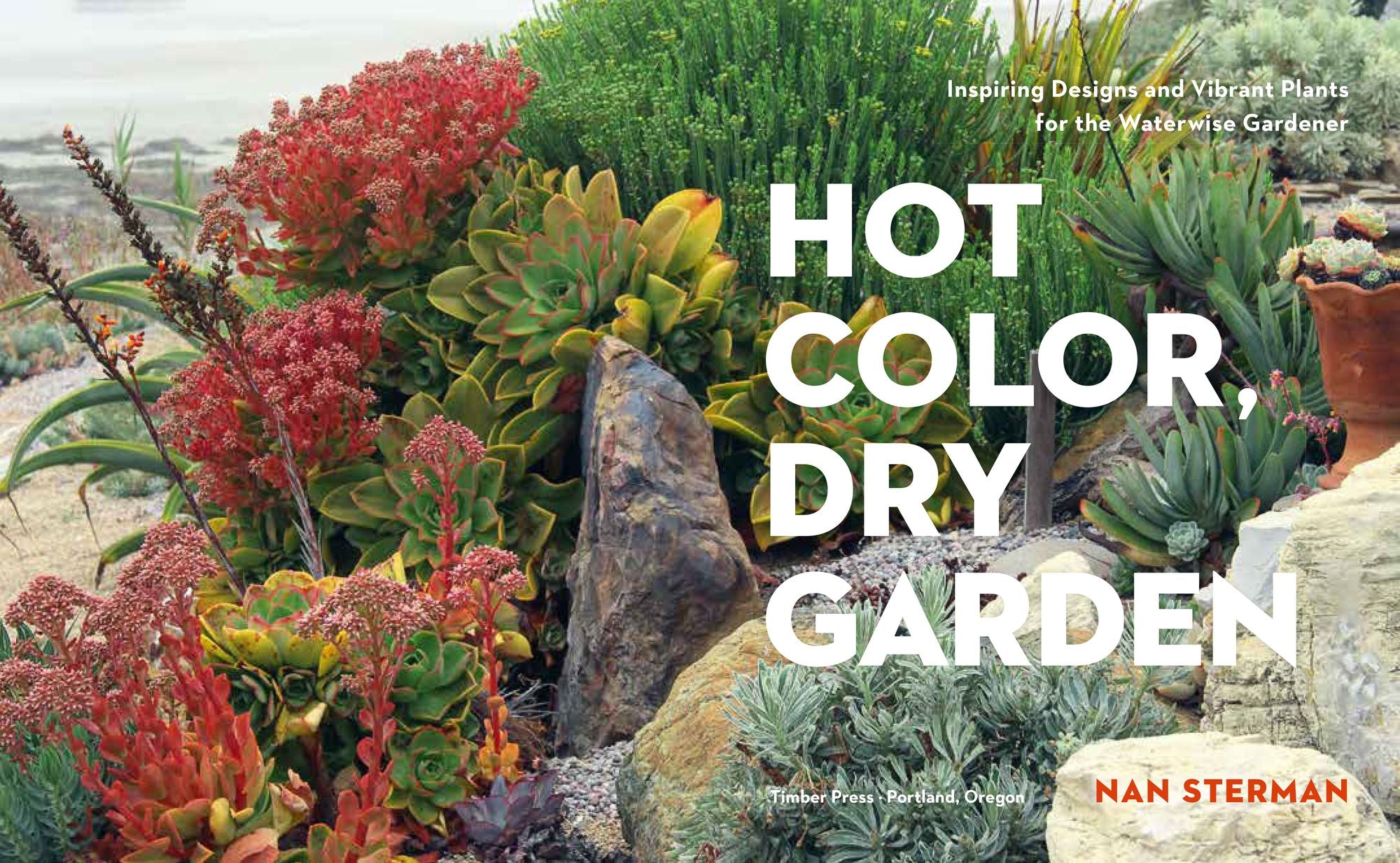 Hot Color, Dry Garden: Inspiring Designs and Vibrant Plants for the Waterwise Gardener