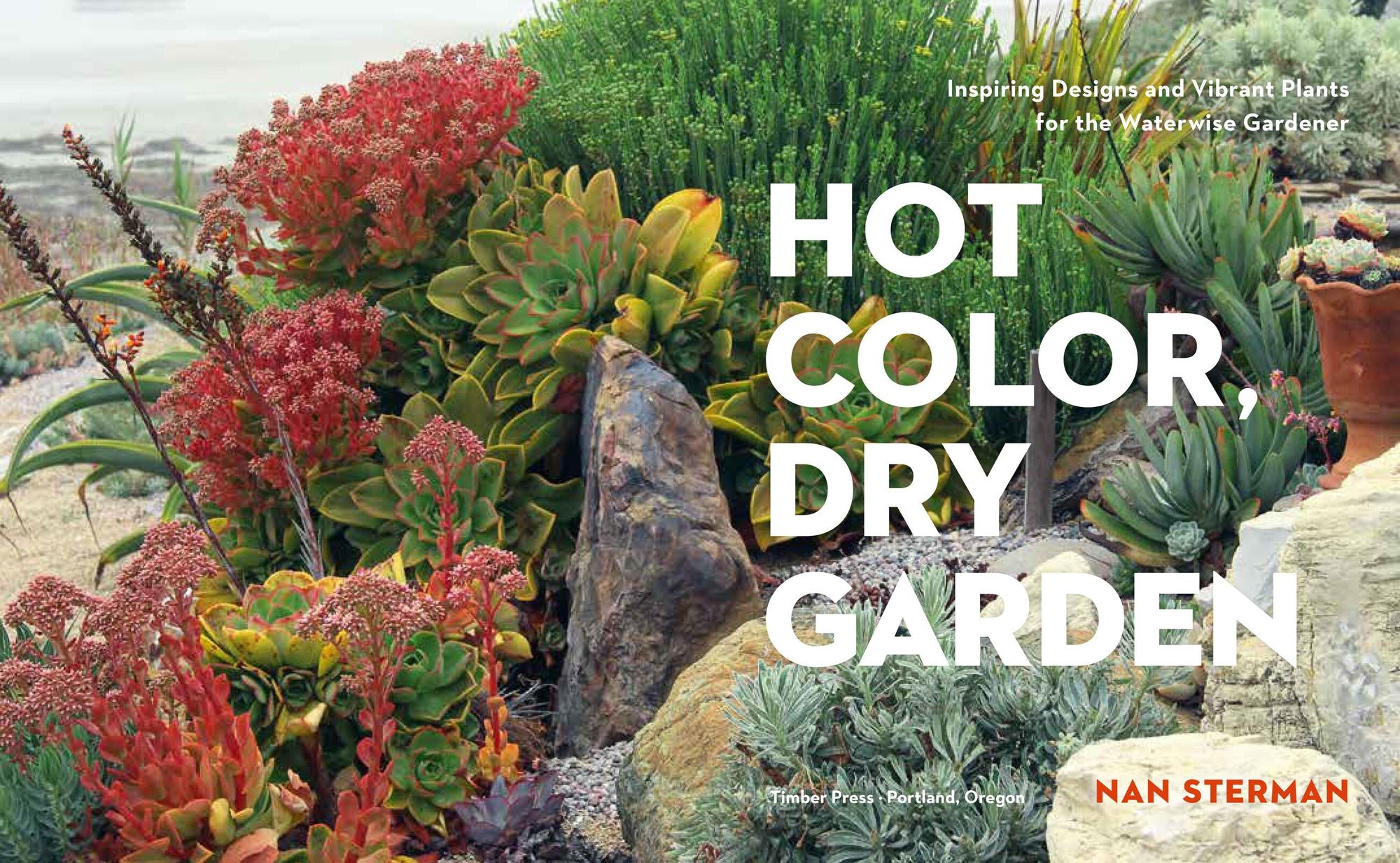 Hot Color, Dry Garden: Inspiring Designs and Vibrant Plants for the Waterwise Gardener