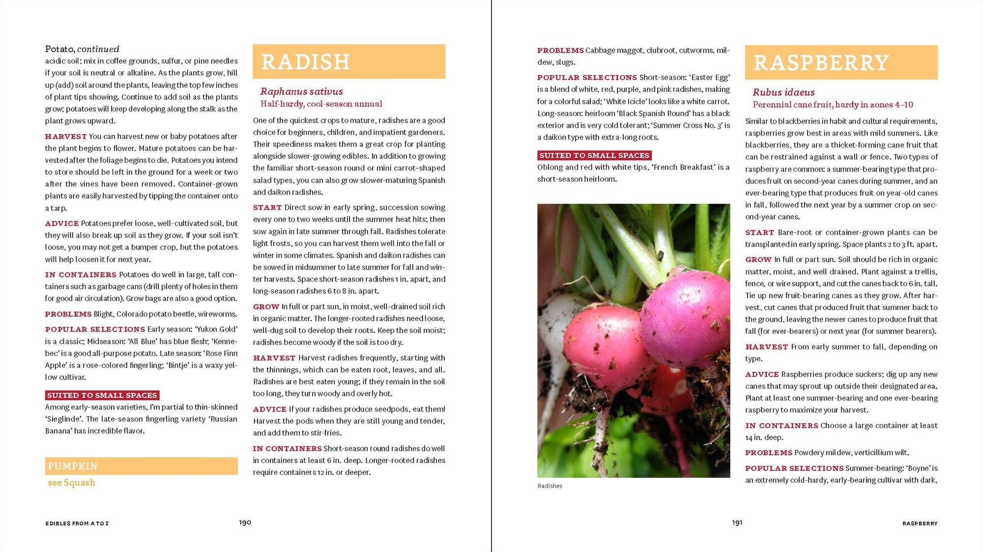 Small-Space Vegetable Gardens: Growing Great Edibles in Containers, Raised Beds, and Small Plots