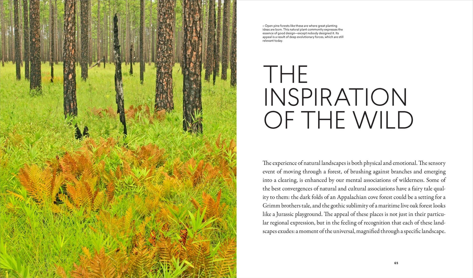 Planting in a Post-Wild World: Designing Plant Communities for Resilient Landscapes