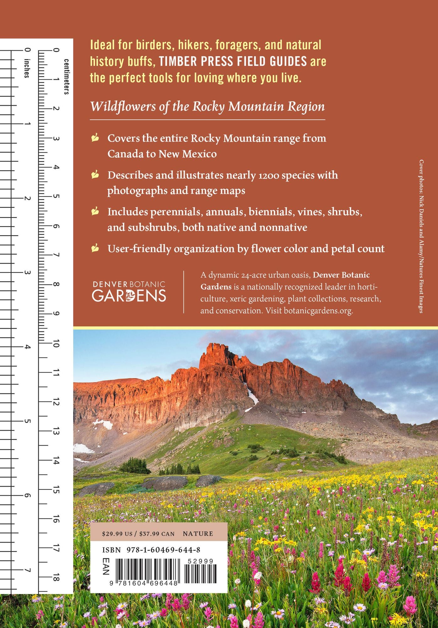 Wildflowers of the Rocky Mountain Region