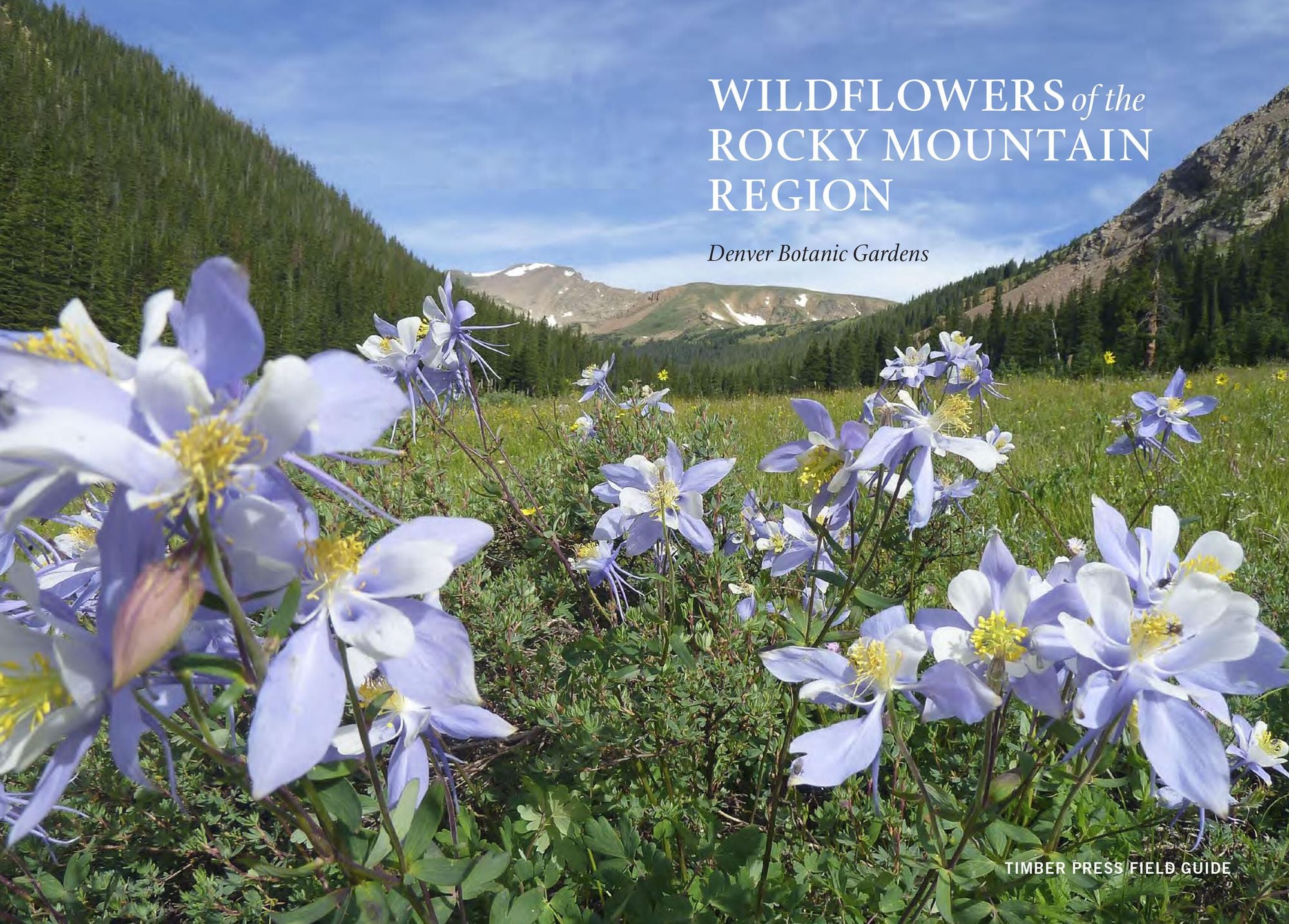 Wildflowers of the Rocky Mountain Region