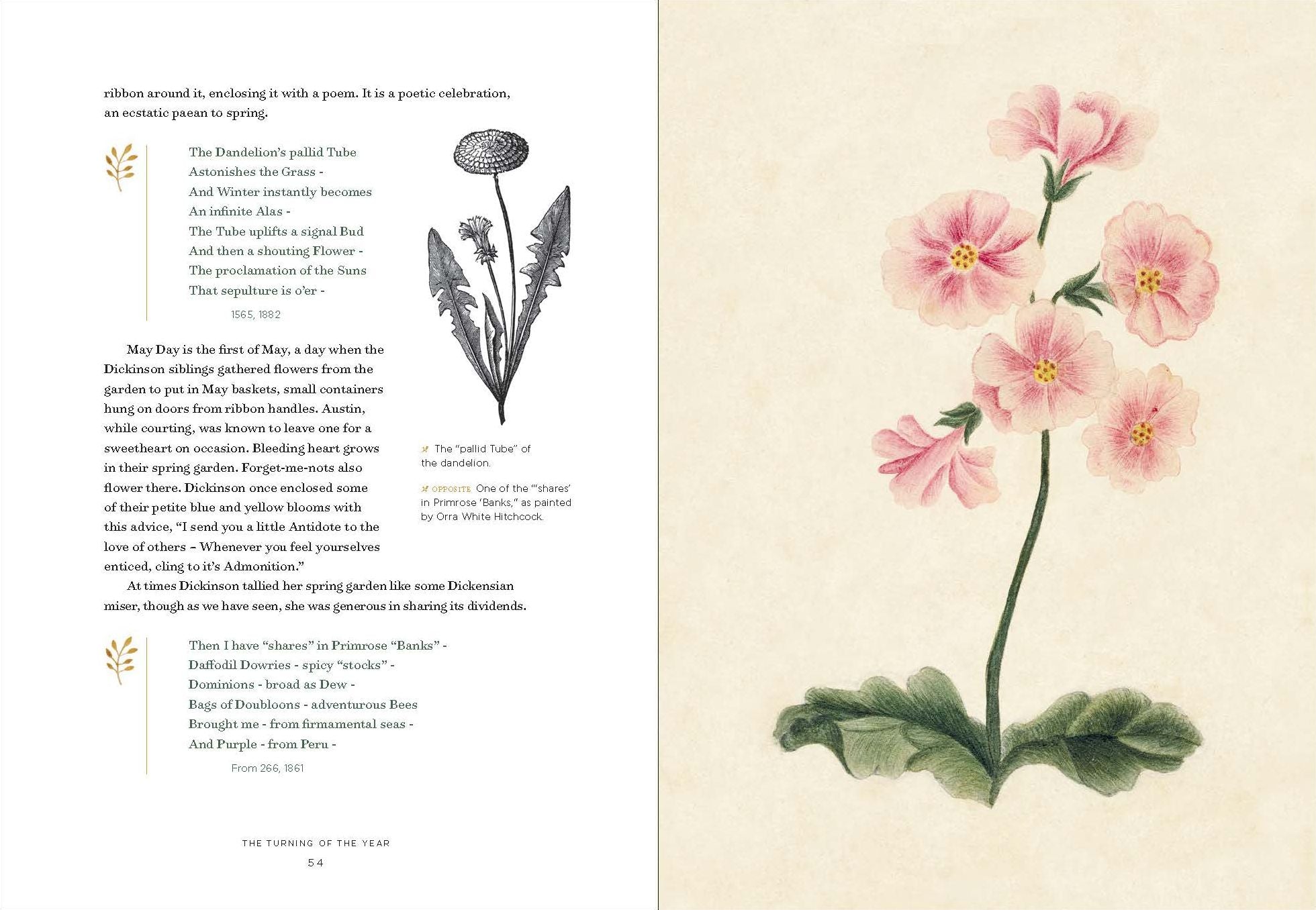 Emily Dickinson's Gardening Life: The Plants and Places That Inspired the Iconic Poet