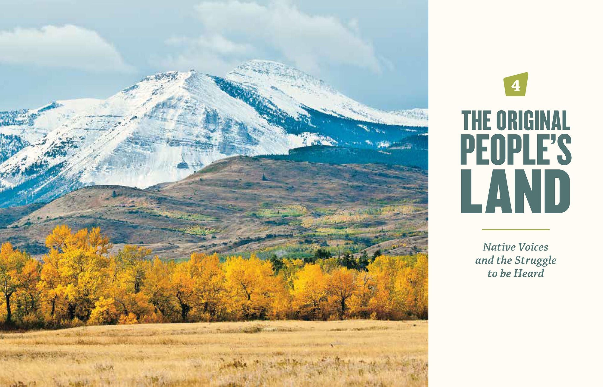Our National Forests: Stories from America's Most Important Public Lands