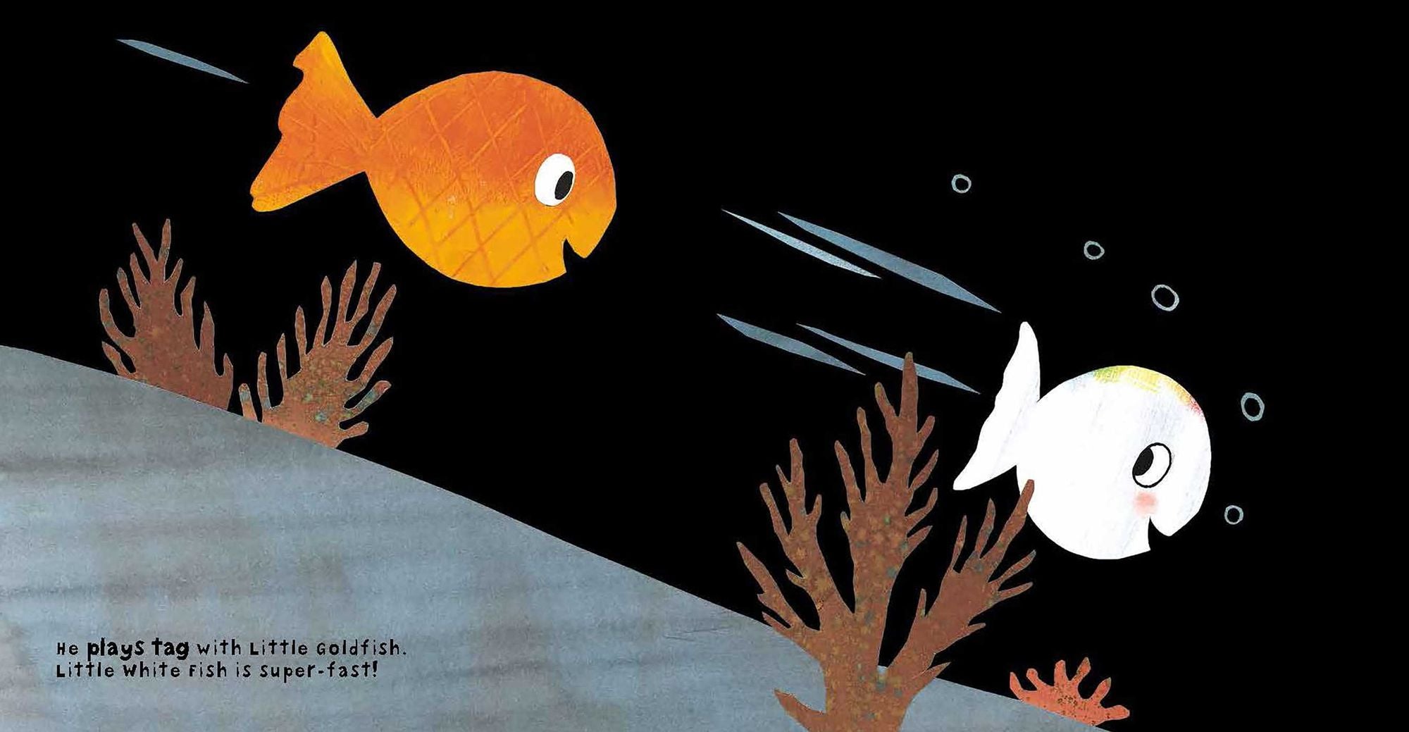 Little White Fish Has Many Friends
