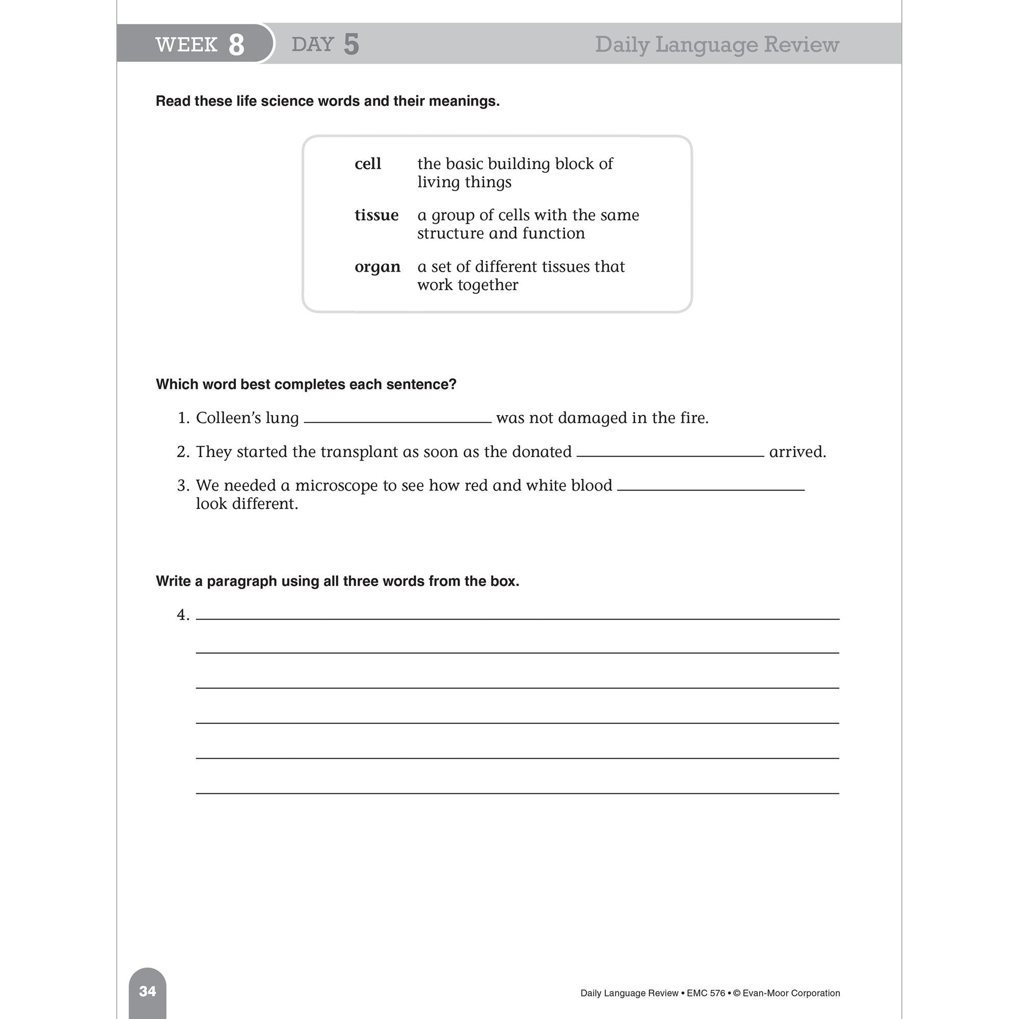 Daily Language Review, Grade 6 Student Edition Workbook