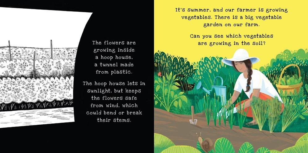 On the Farm (Shine-a-Light Series)