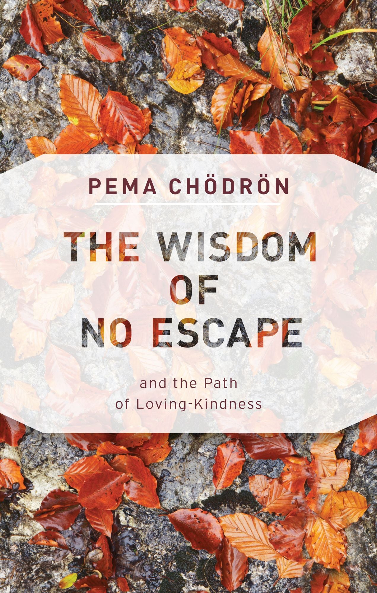 The Wisdom of No Escape: And the Path of Loving-Kindness
