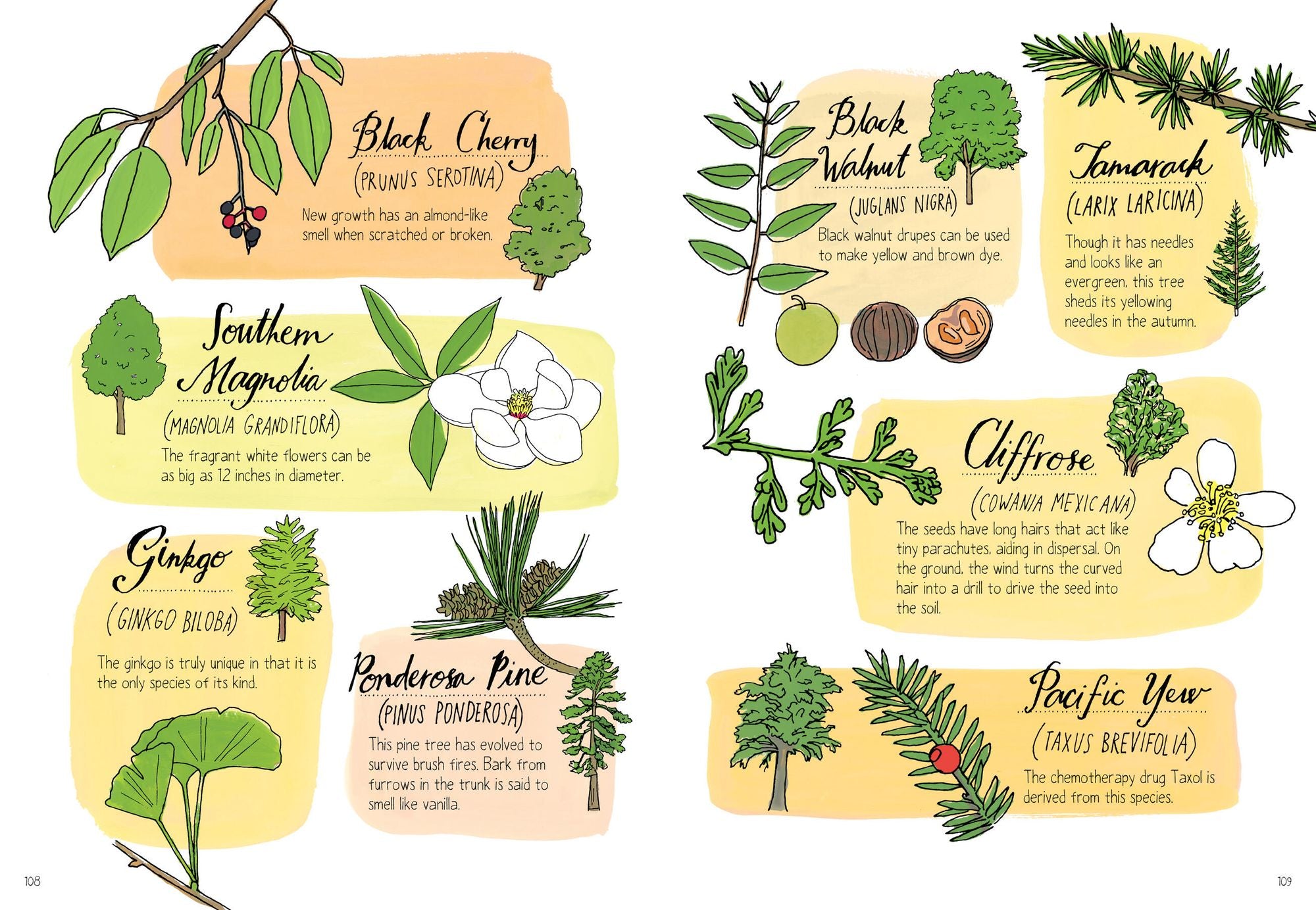 Nature Anatomy: The Curious Parts and Pieces of the Natural World