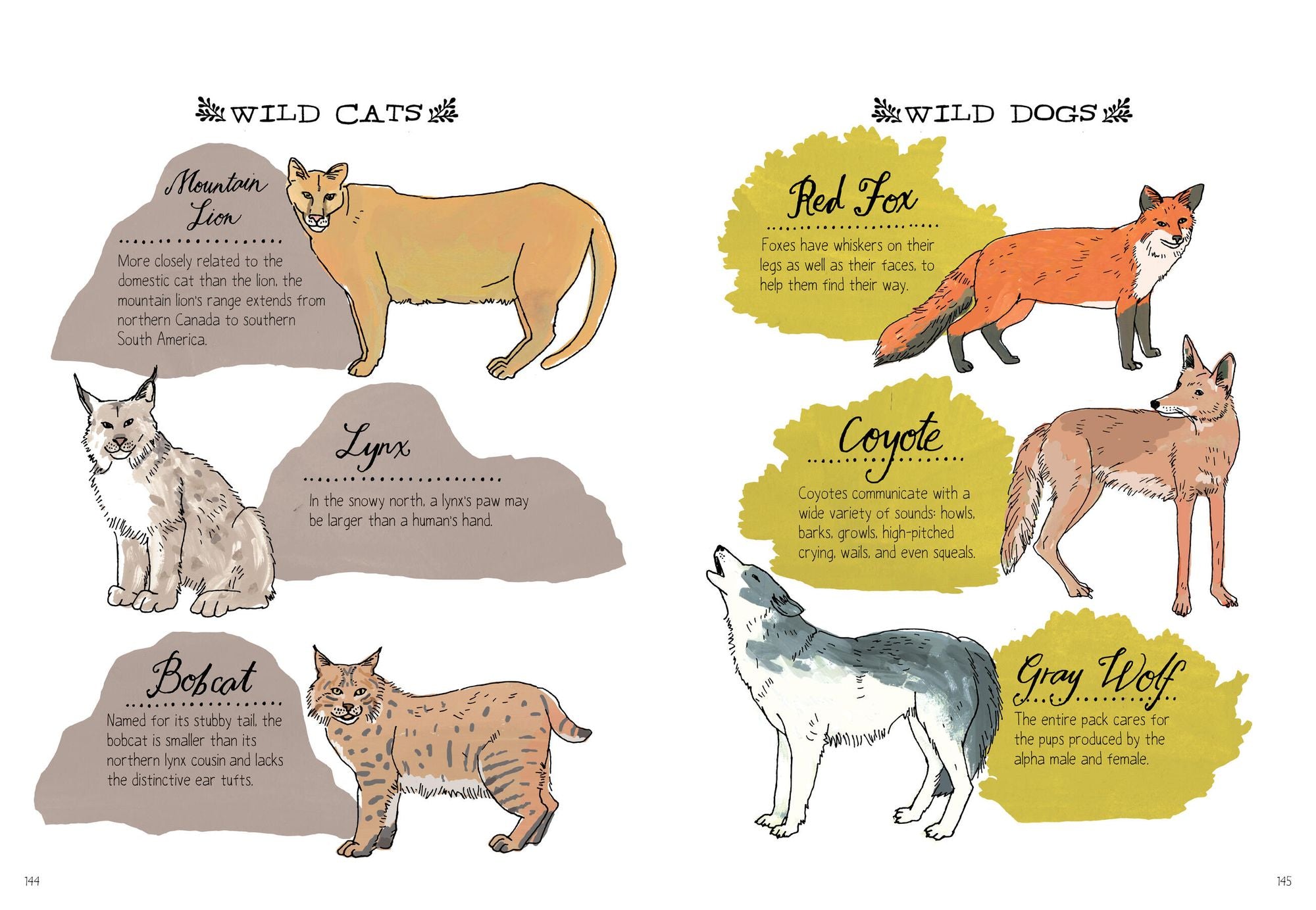 Nature Anatomy: The Curious Parts and Pieces of the Natural World