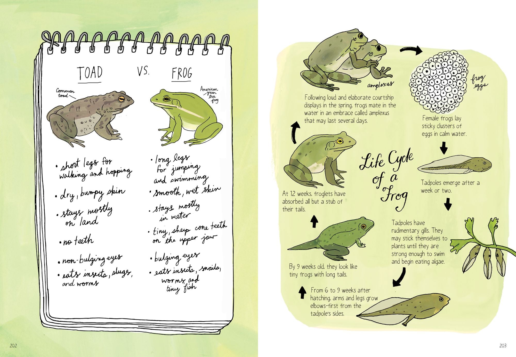 Nature Anatomy: The Curious Parts and Pieces of the Natural World