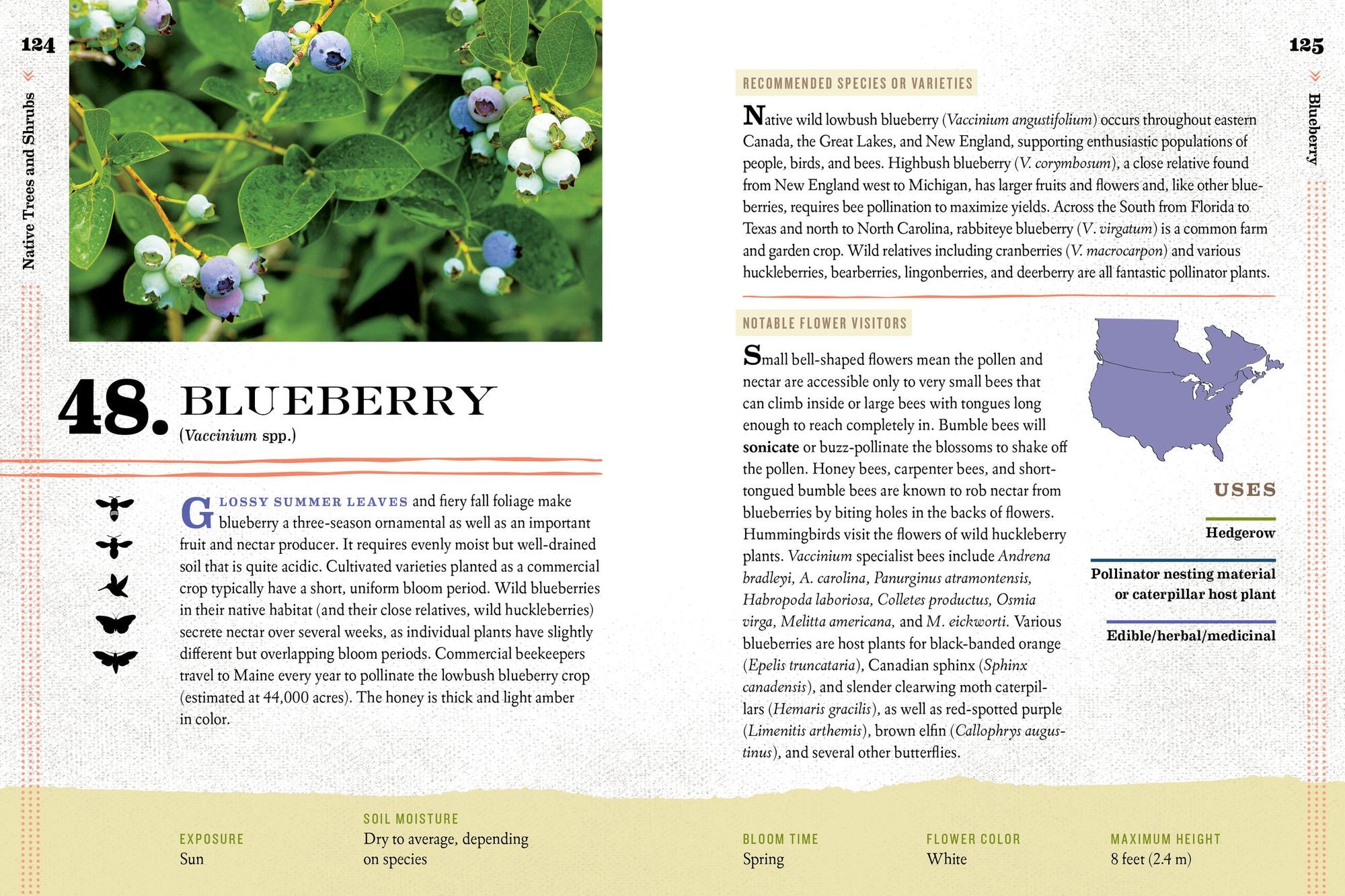 100 Plants to Feed the Bees: Provide a Healthy Habitat to Help Pollinators Thrive