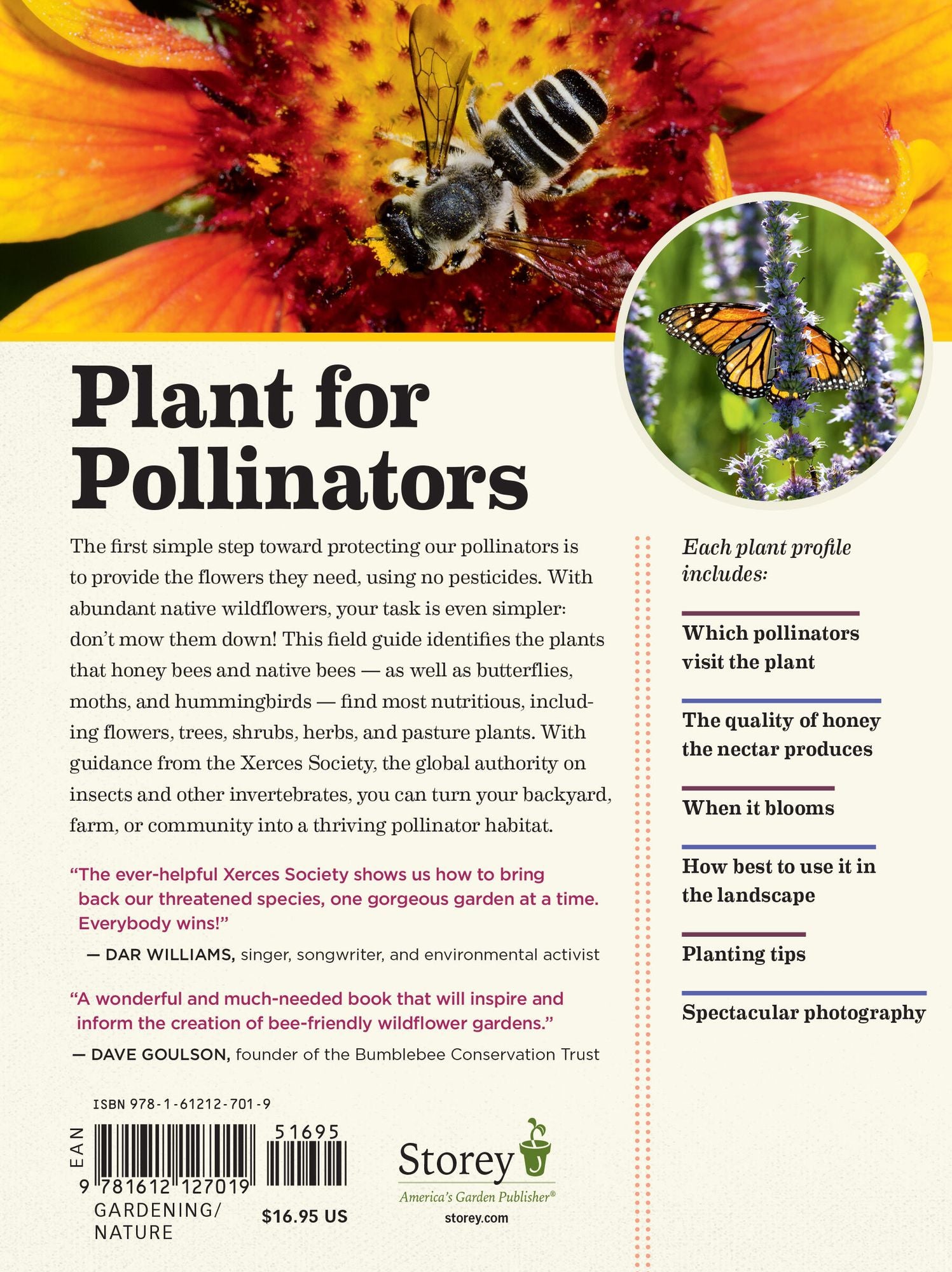 100 Plants to Feed the Bees: Provide a Healthy Habitat to Help Pollinators Thrive