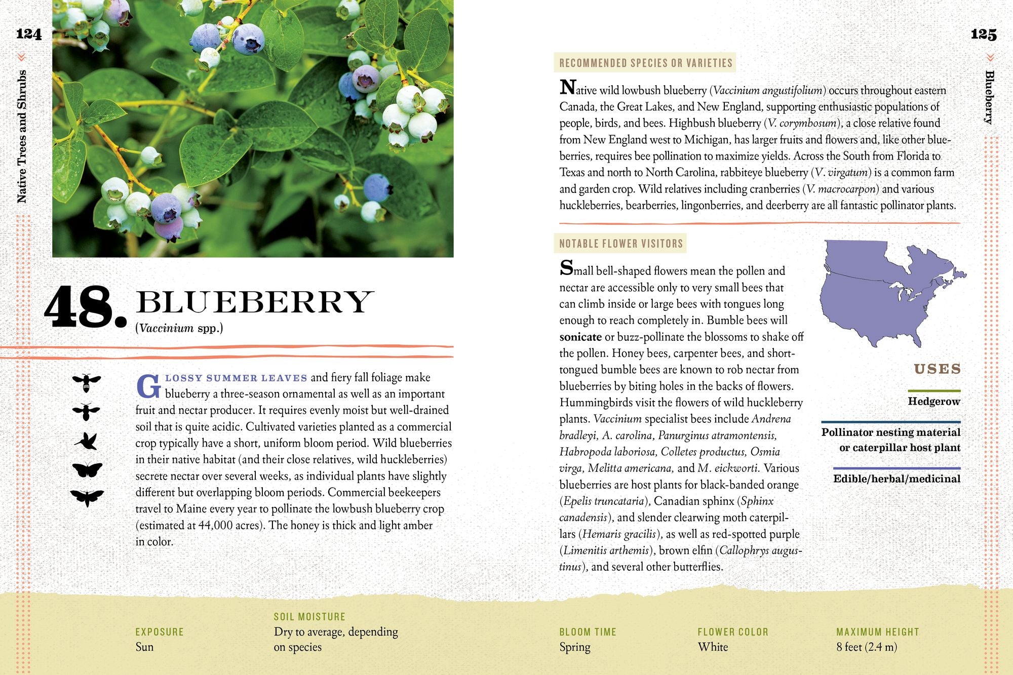 100 Plants to Feed the Bees: Provide a Healthy Habitat to Help Pollinators Thrive