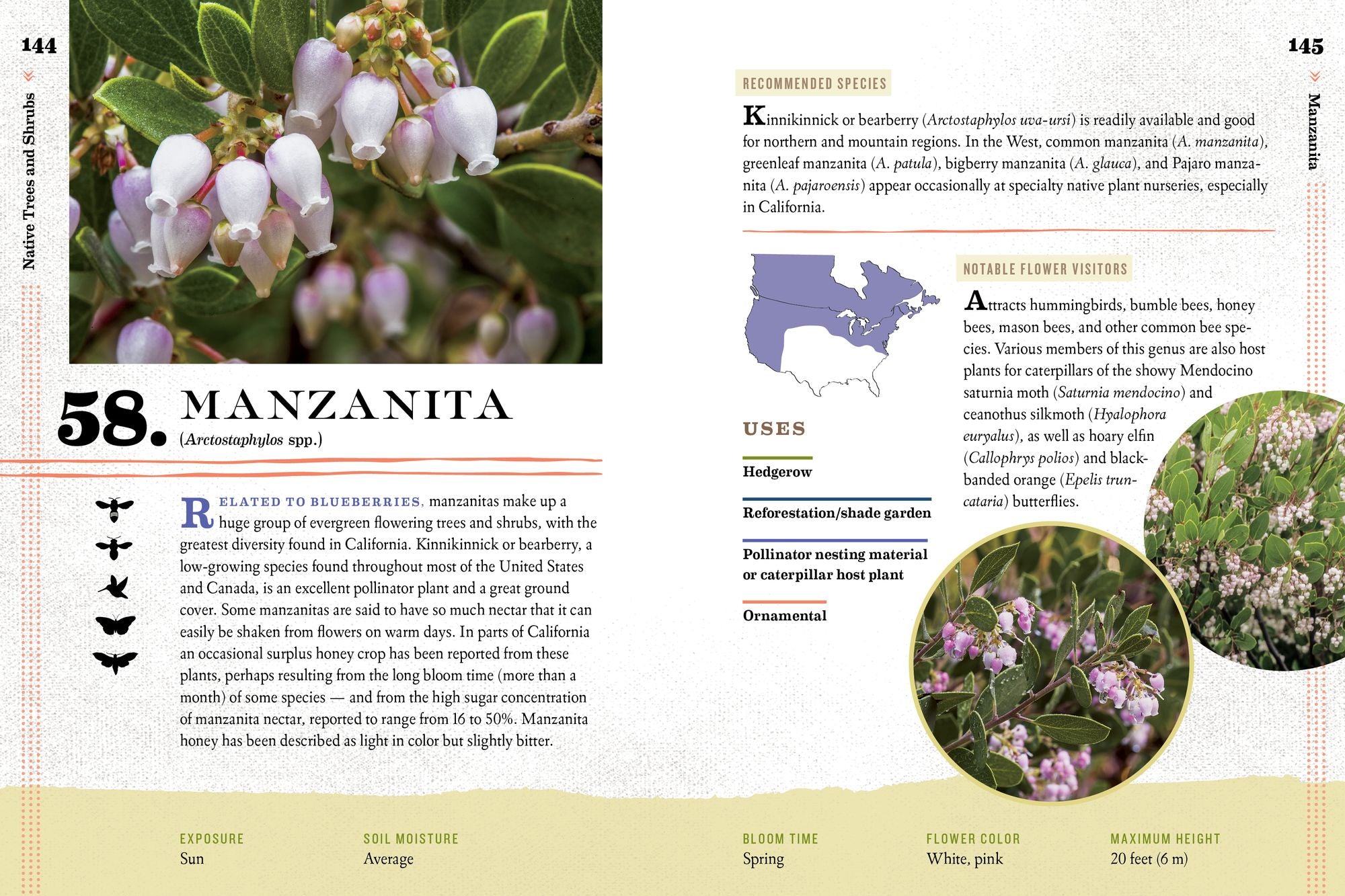 100 Plants to Feed the Bees: Provide a Healthy Habitat to Help Pollinators Thrive