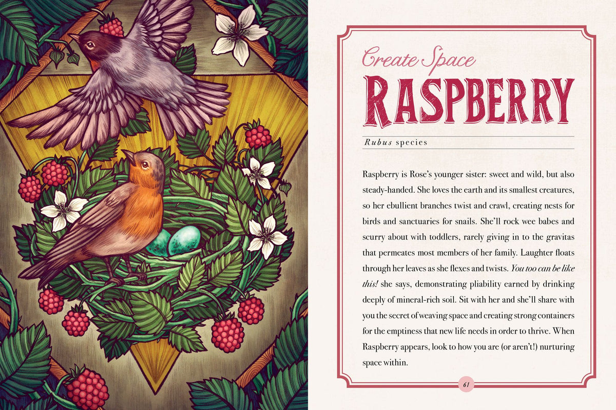 The Illustrated Herbiary: Guidance and Rituals from 36 Bewitching Botanicals