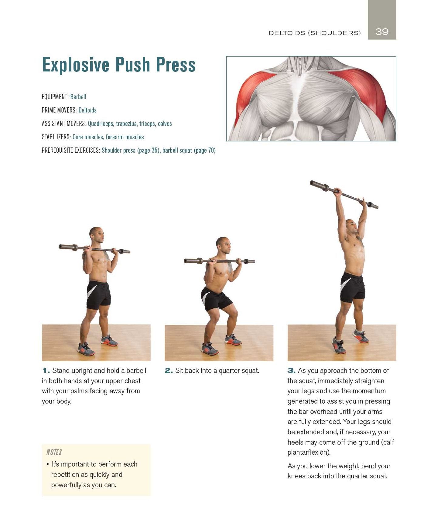 Freeweight Training Anatomy: An Illustrated Guide to the Muscles Used while Exercising with Dumbbells, Barbells, and Kettlebells and more