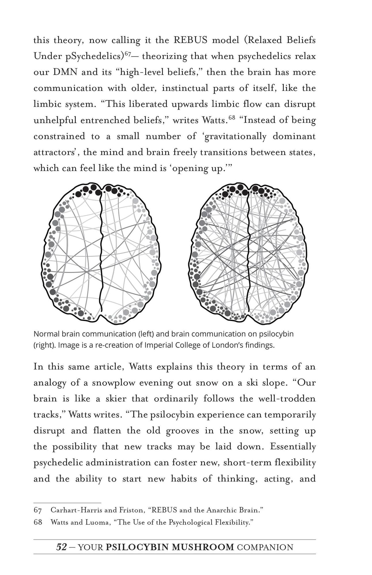 Your Psilocybin Mushroom Companion: An Informative, Easy-to-Use Guide to Understanding Magic Mushrooms-From Tips and Trips to Microdosing and Psychedelic Therapy