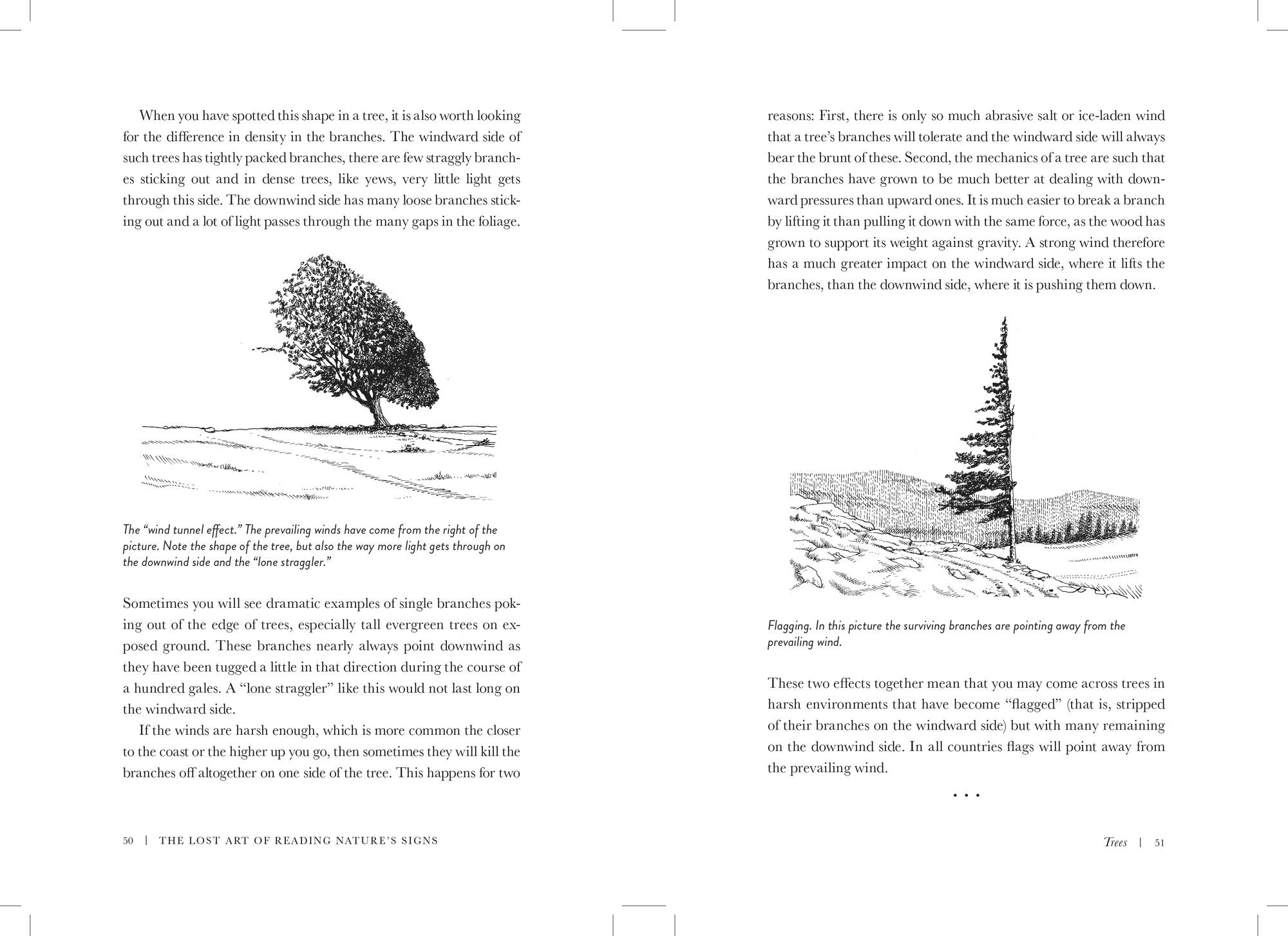 The Lost Art of Reading Nature's Signs: Use Outdoor Clues to Find Your Way, Predict the Weather, Locate Water, Track Animals - and Other Forgotten Skills