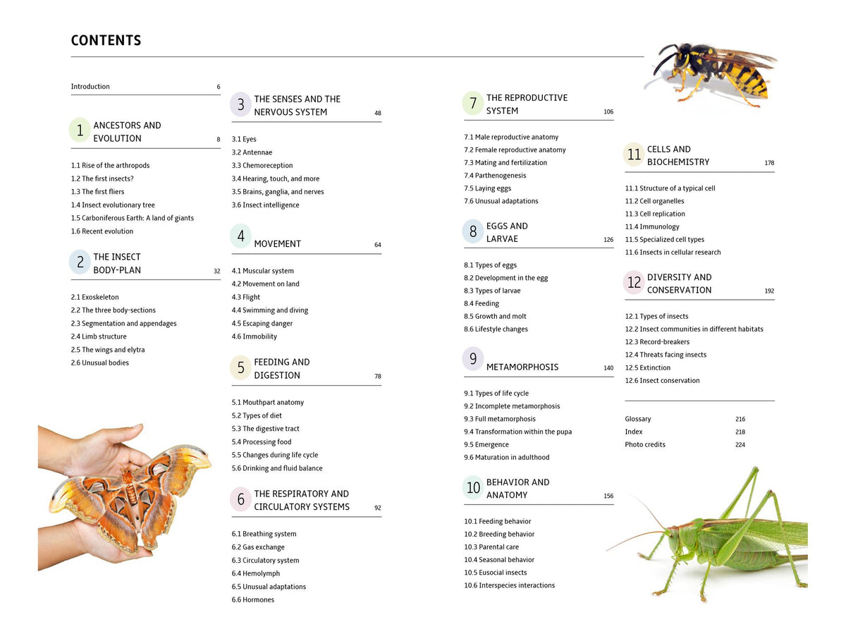 How Insects Work: An Illustrated Guide to the Wonders of Form and Function - from Antennae to Wings