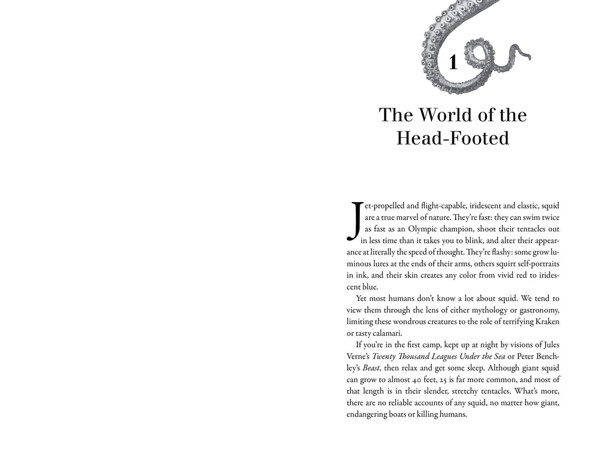 Monarchs of the Sea: The Extraordinary 500-Million-Year History of Cephalopods