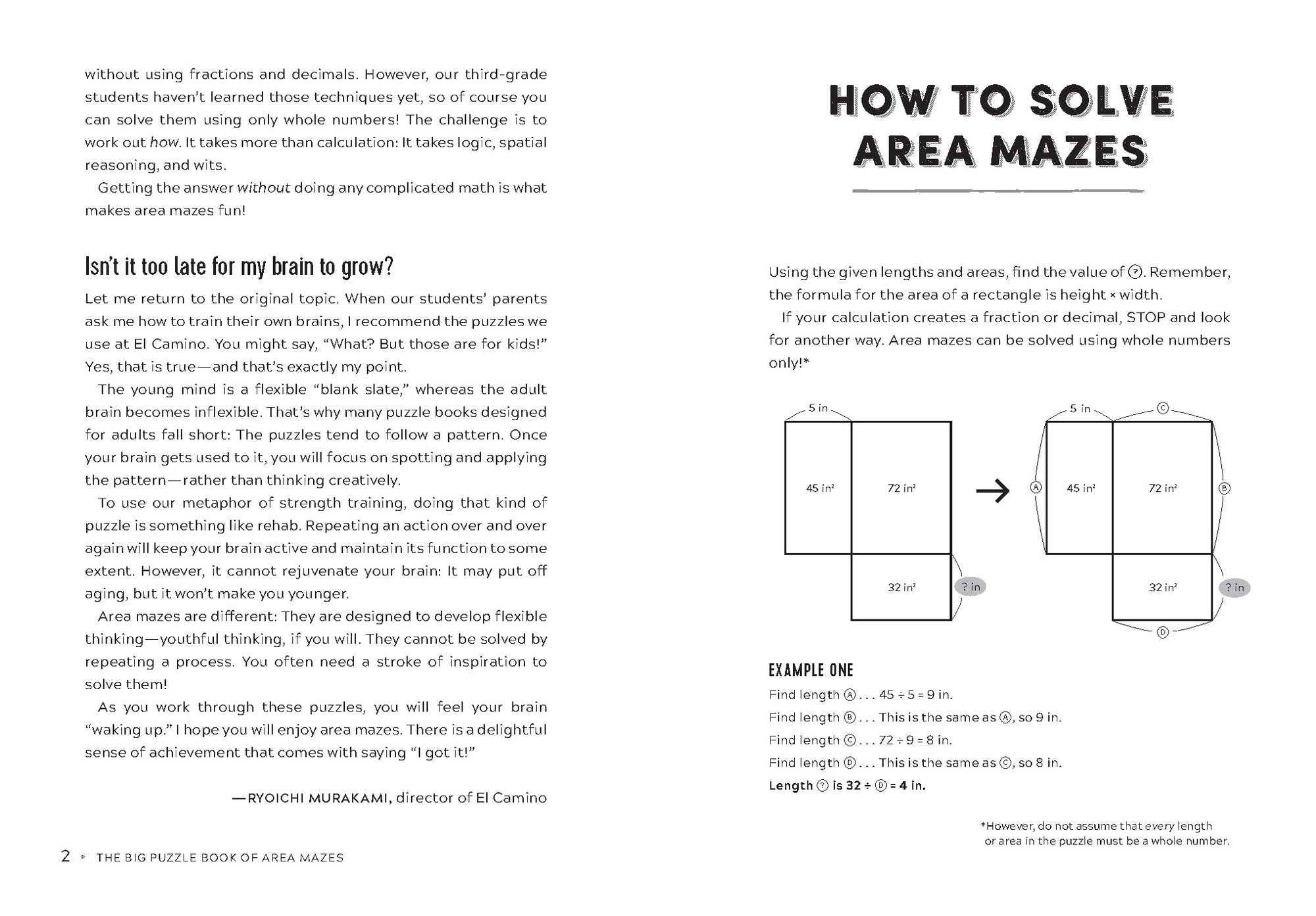 The Big Puzzle Book of Area Mazes: 300 Mind-Bending Math Puzzles in Five Challenge Levels