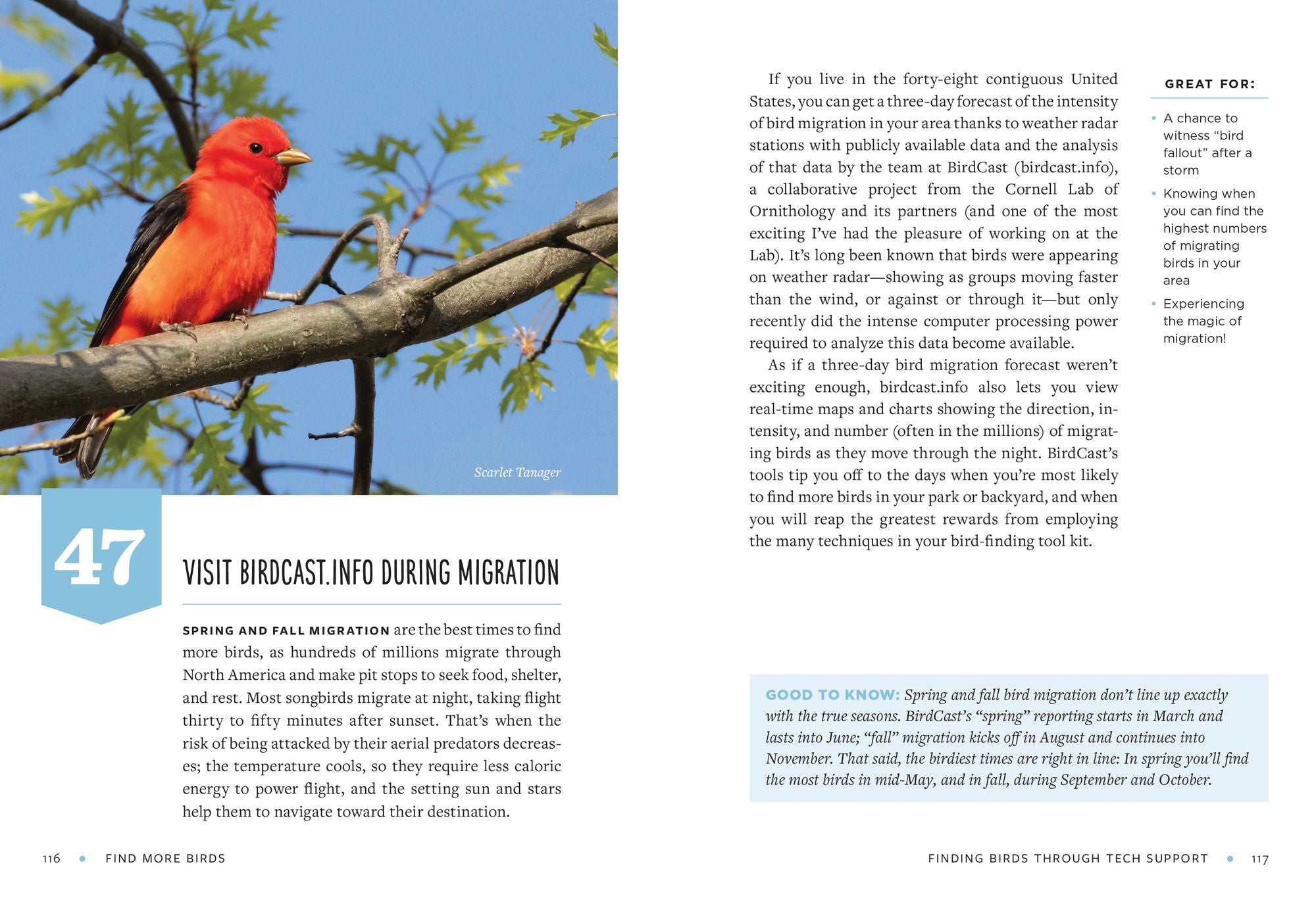 Find More Birds: 111 Surprising Ways to Spot Birds Wherever You Are