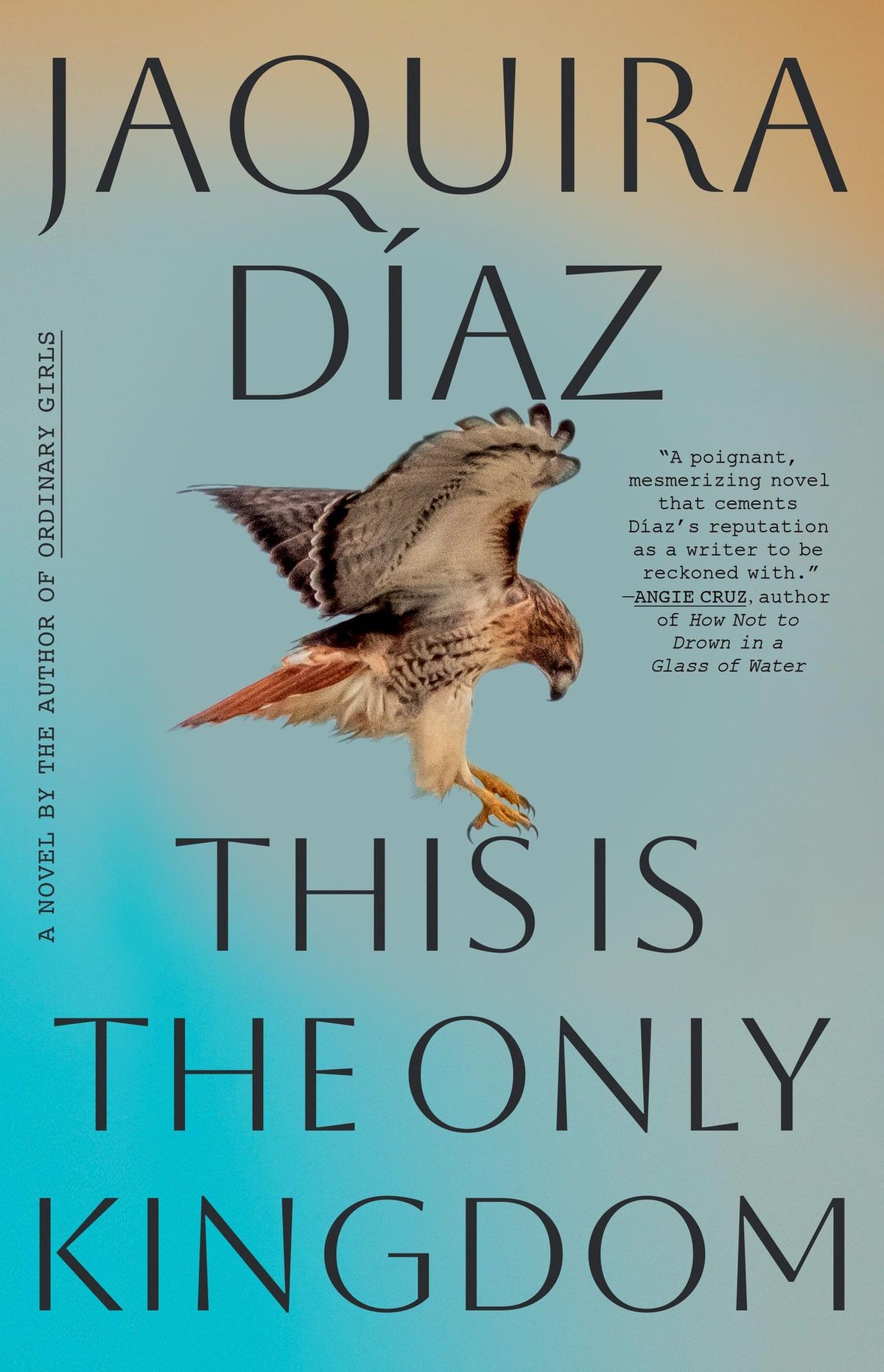 This Is the Only Kingdom: A Novel