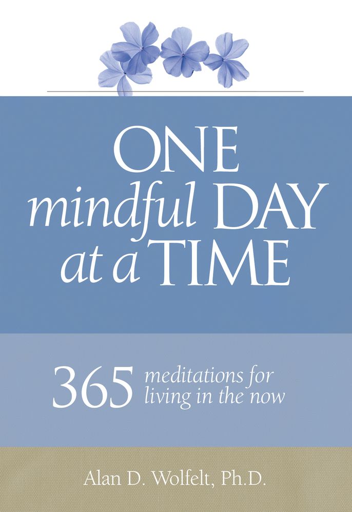 One Mindful Day at a Time: 365 meditations on living in the now