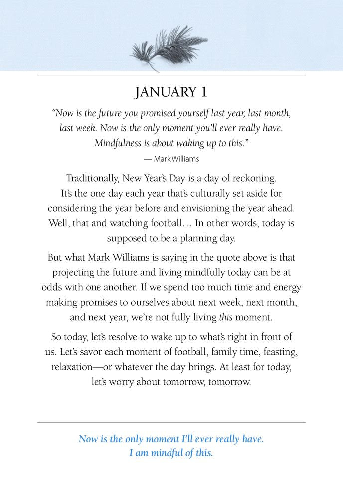 One Mindful Day at a Time: 365 meditations on living in the now