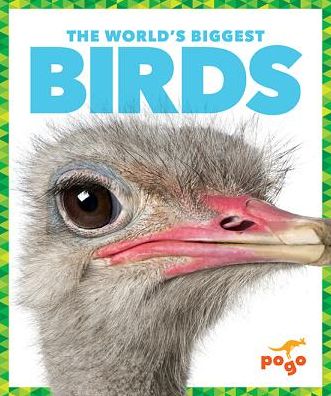 The World's Biggest Birds