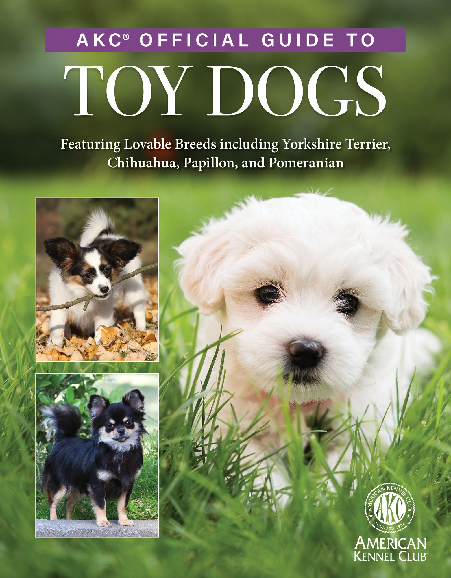 AKC Official Guide to Toy Dogs: Featuring Lovable Breeds including Yorkshire Terrier, Chihuahua, Papillon, and Pomeranian