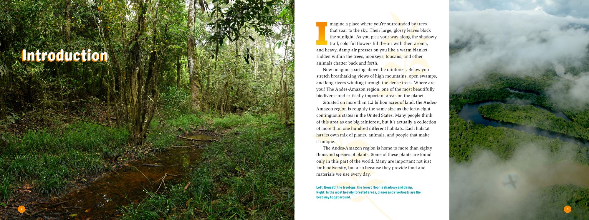 3 Weeks in the Rainforest: A Rapid Inventory in the Amazon